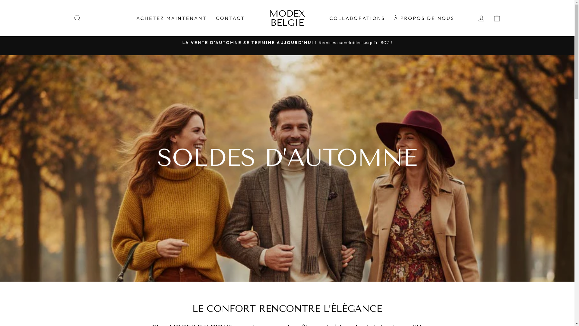 website screenshot of https://emilie-elegance.be/