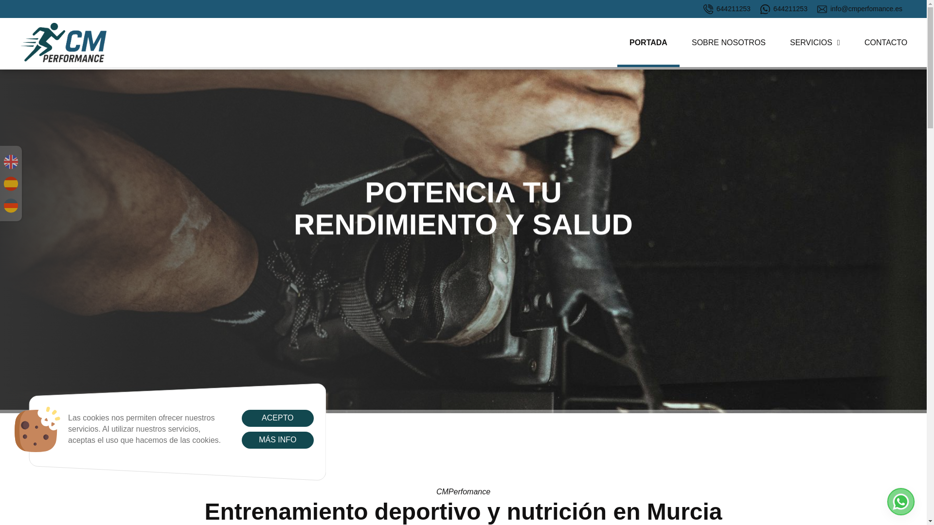 website screenshot of https://cmperfomance.es/