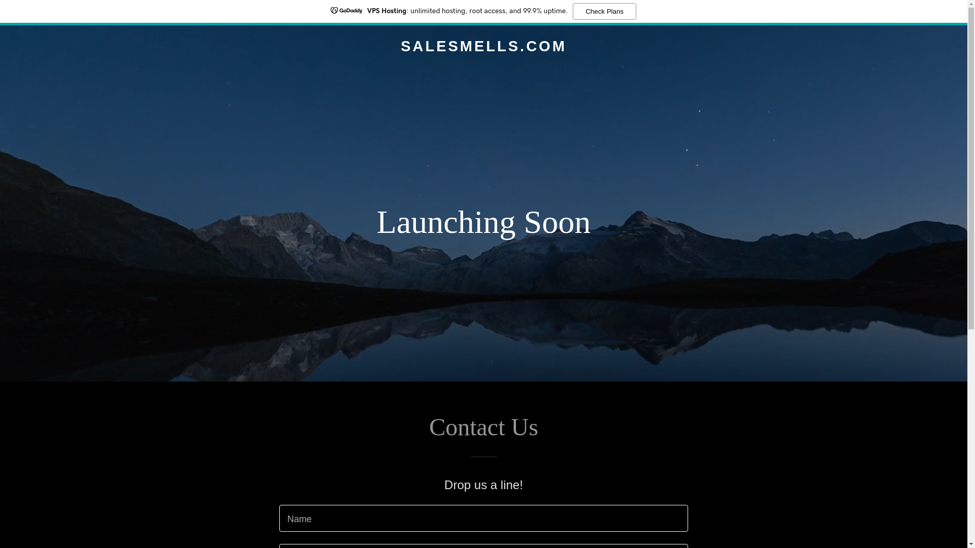 website screenshot of https://salesmells.com/