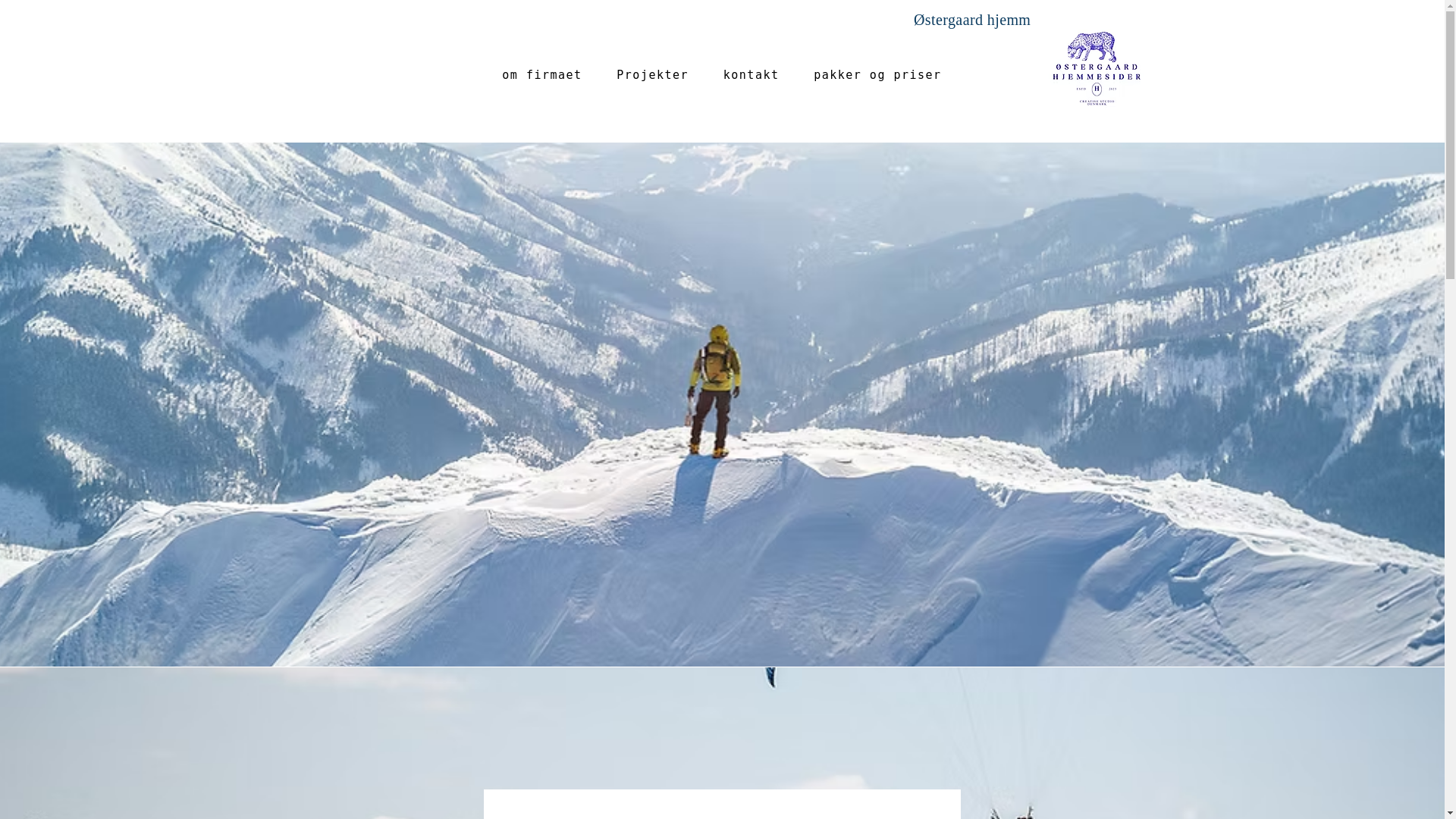 website screenshot of https://xn--stergaardhjemmesider-9bc.com/