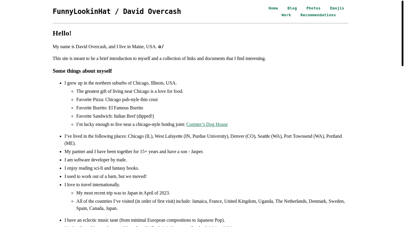 website screenshot of https://funnylookinhat.com/