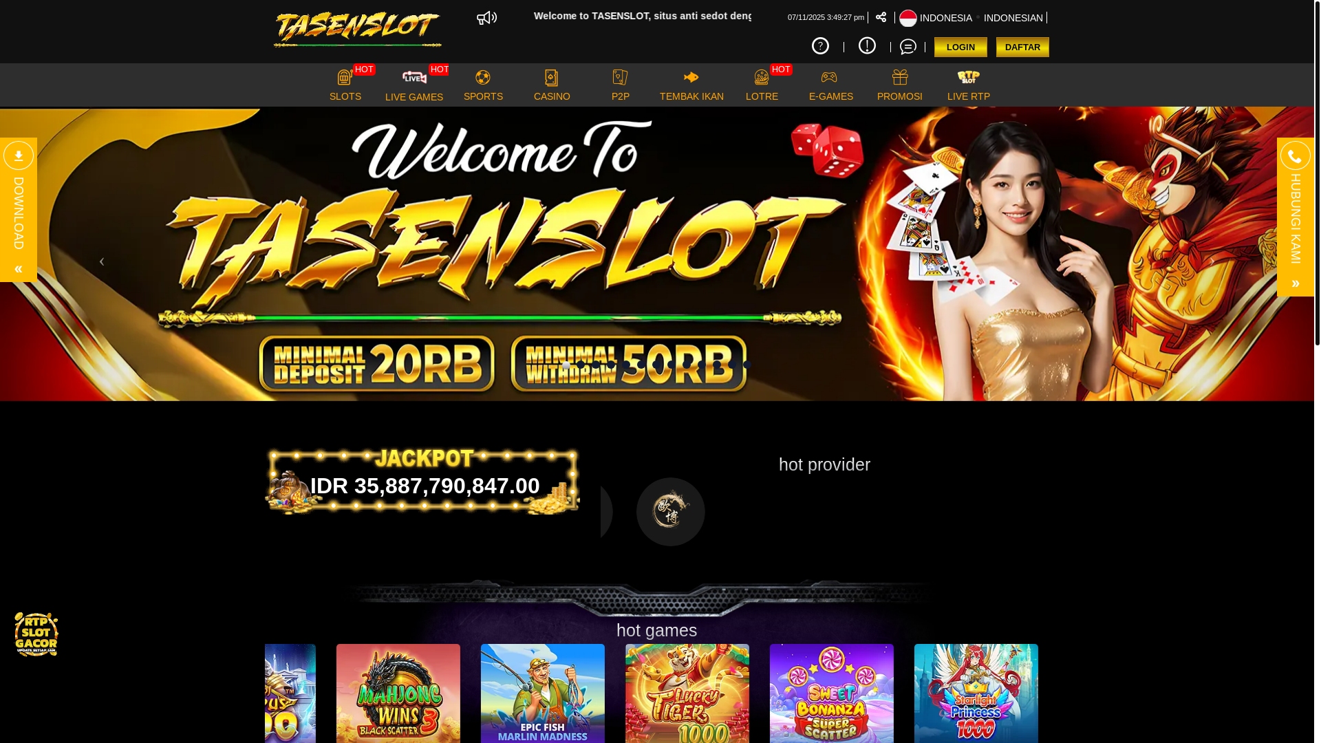 website screenshot of https://tasenslotwin.com/