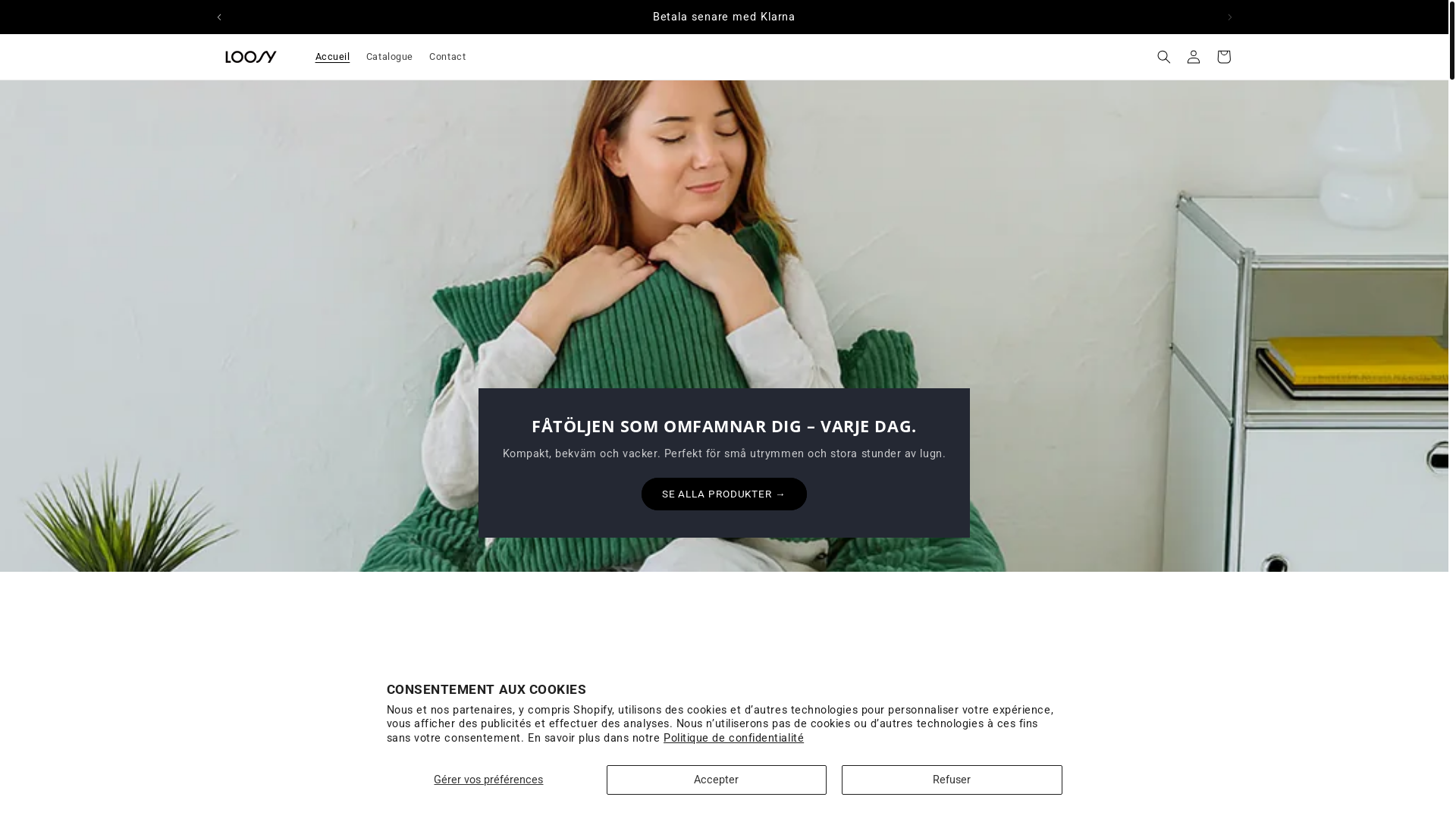 website screenshot of https://loosy-se.com/