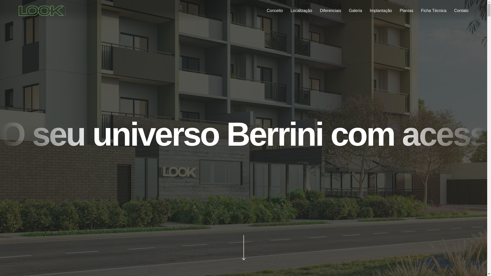 website screenshot of https://lookberrini.com.br/