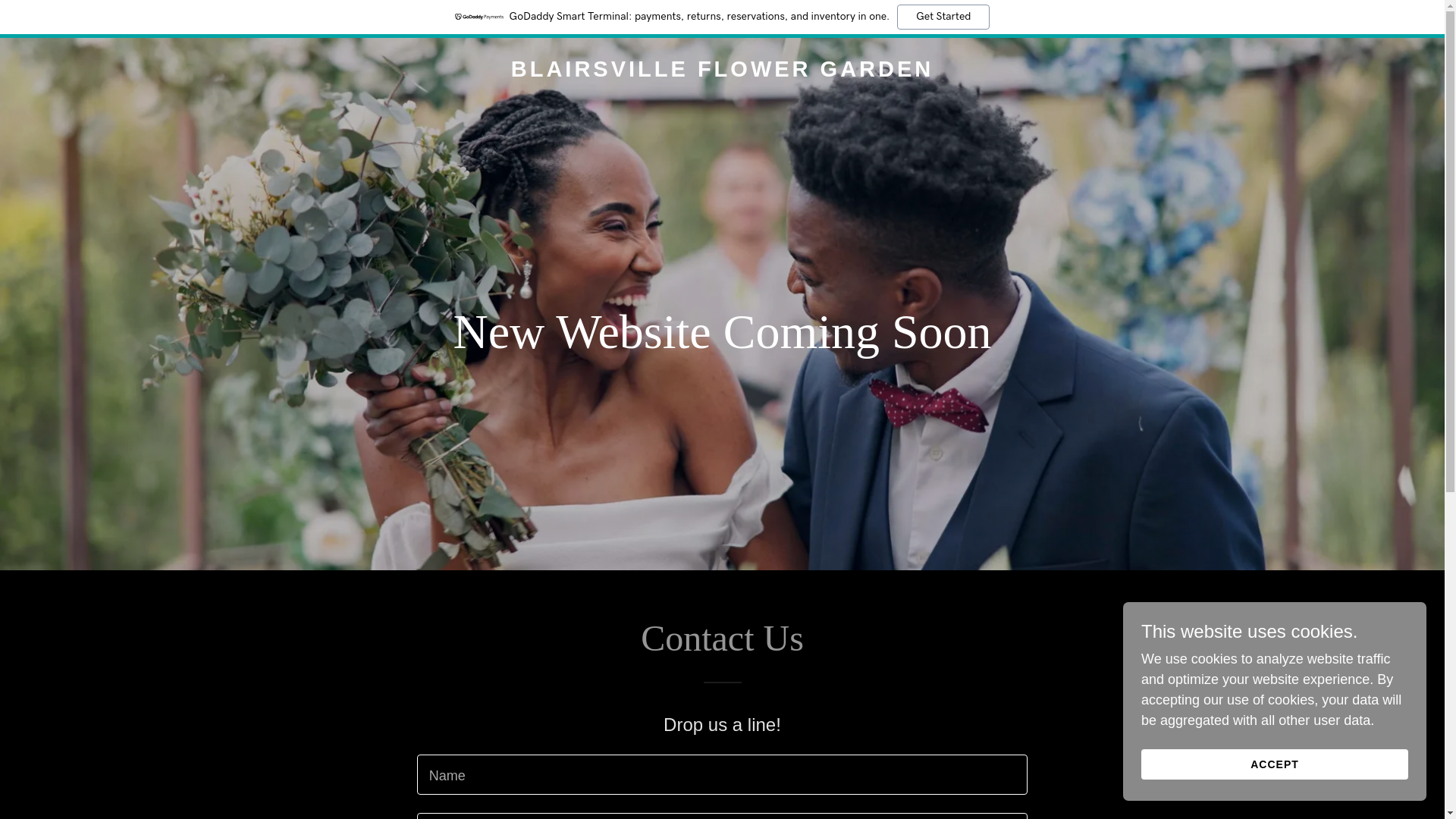 website screenshot of https://httpsblairsvilleflowergarden.com/