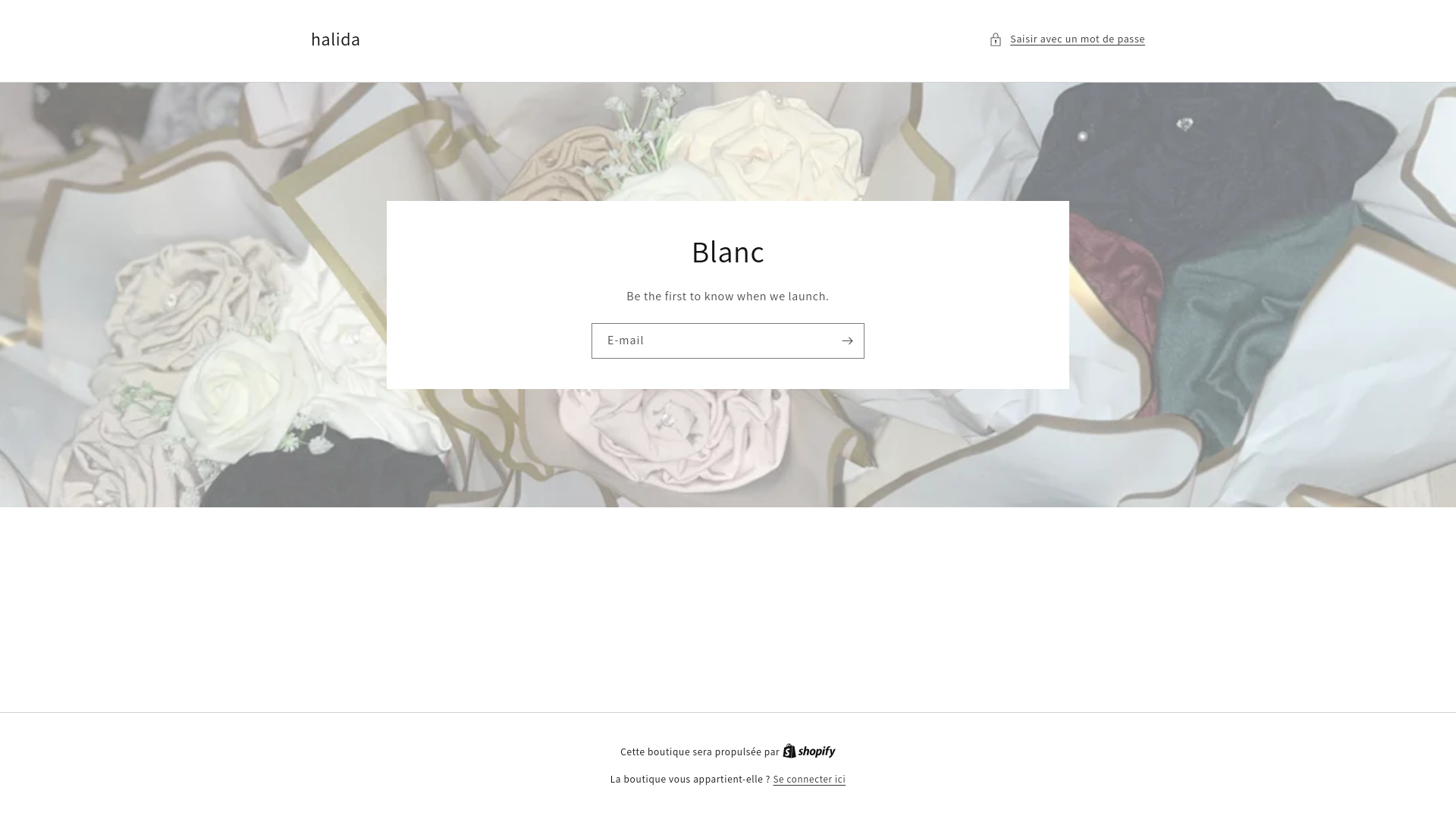 website screenshot of https://halida-shop.com/