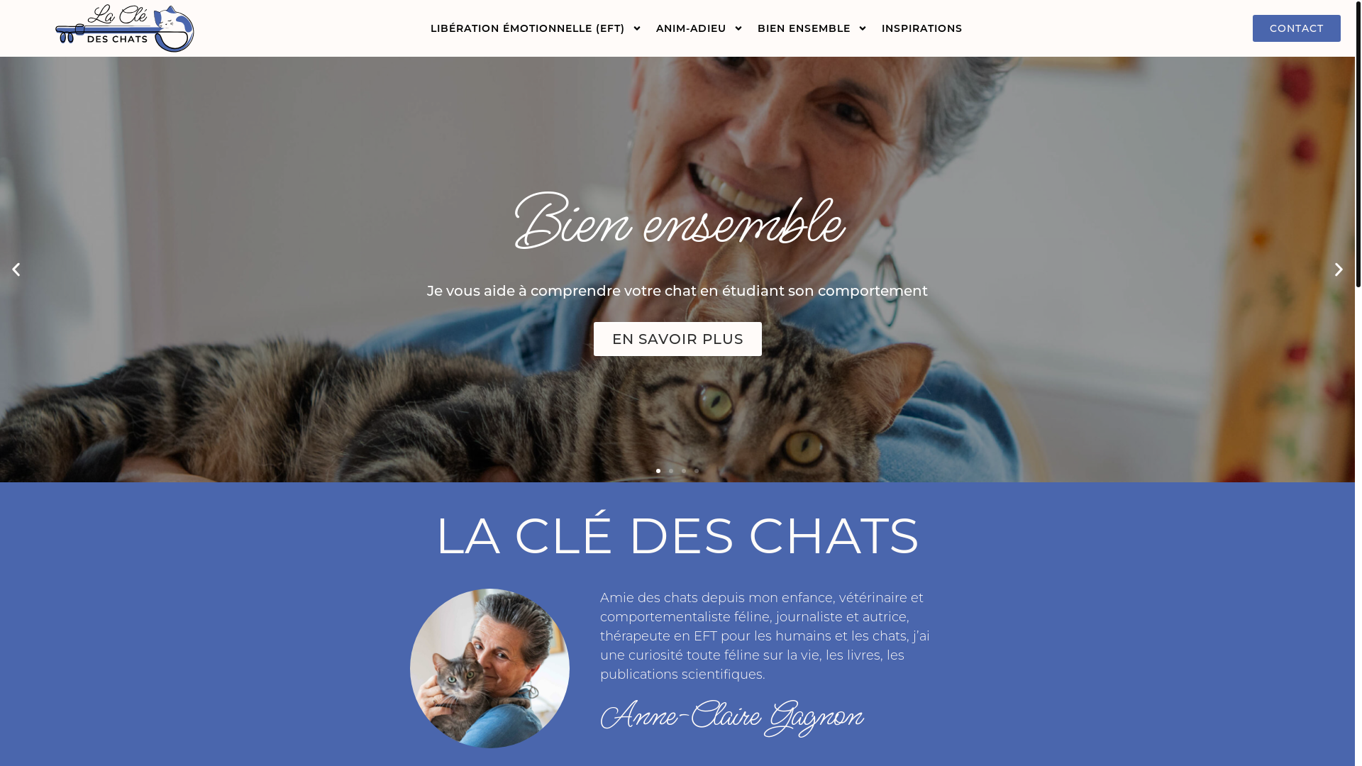 website screenshot of https://anim-adieu.com/