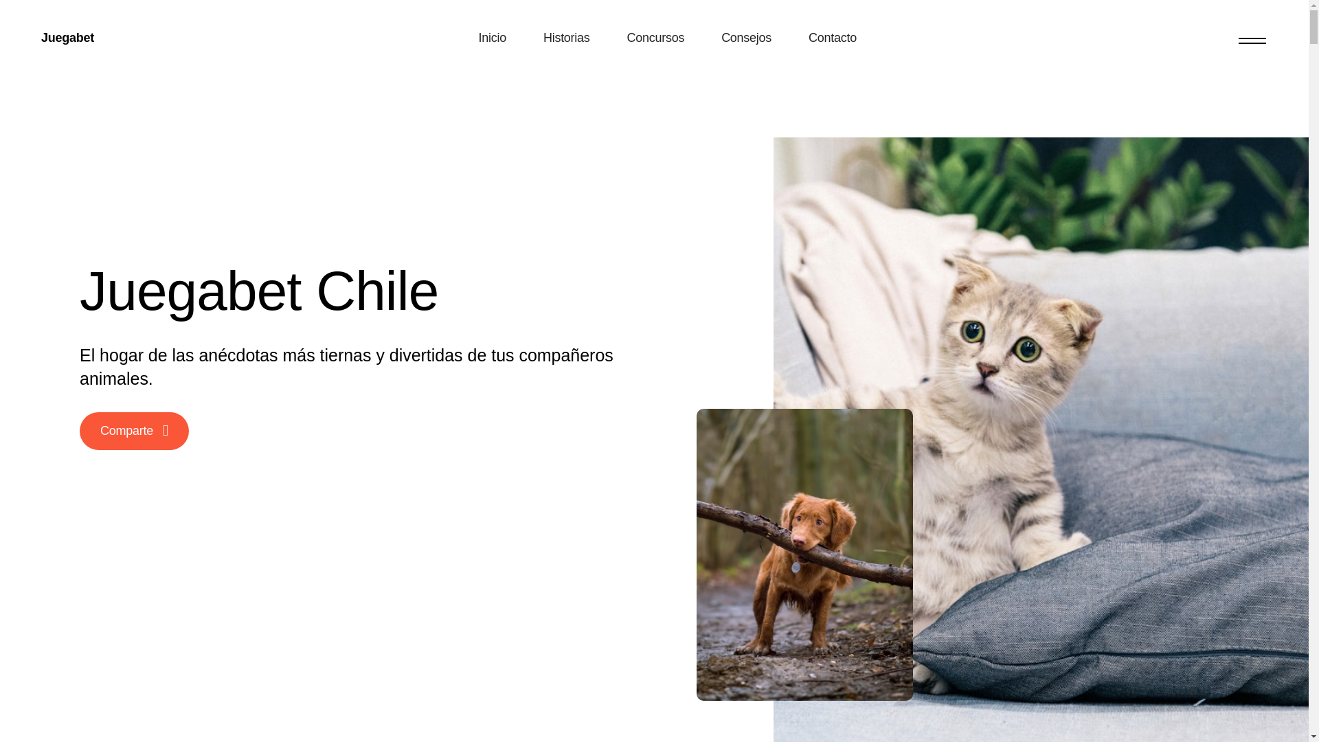 website screenshot of https://juegobetcloudshade.info/