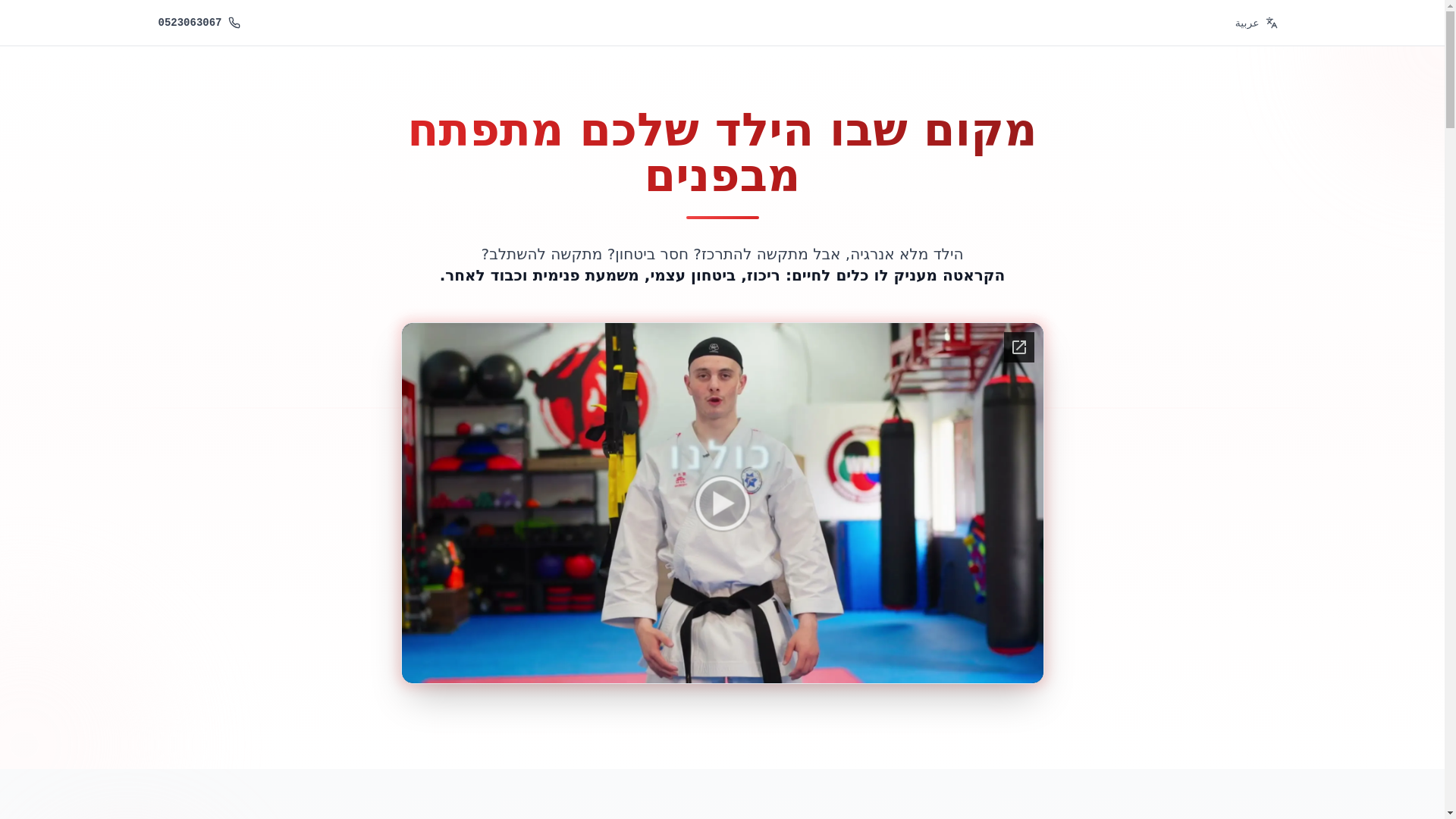 website screenshot of https://kokoro-karate.org/