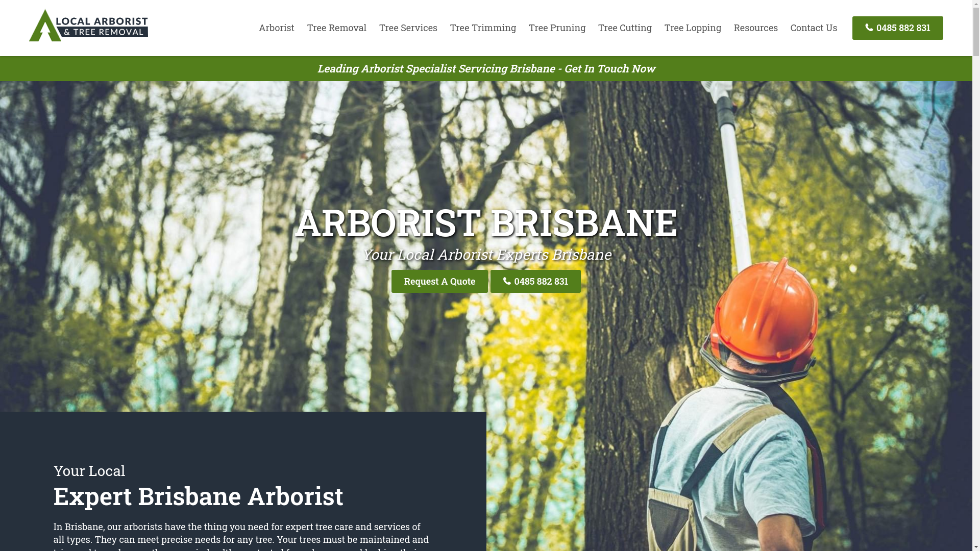 website screenshot of https://treeremovalbrisbaneqld-com-au.pages.dev/