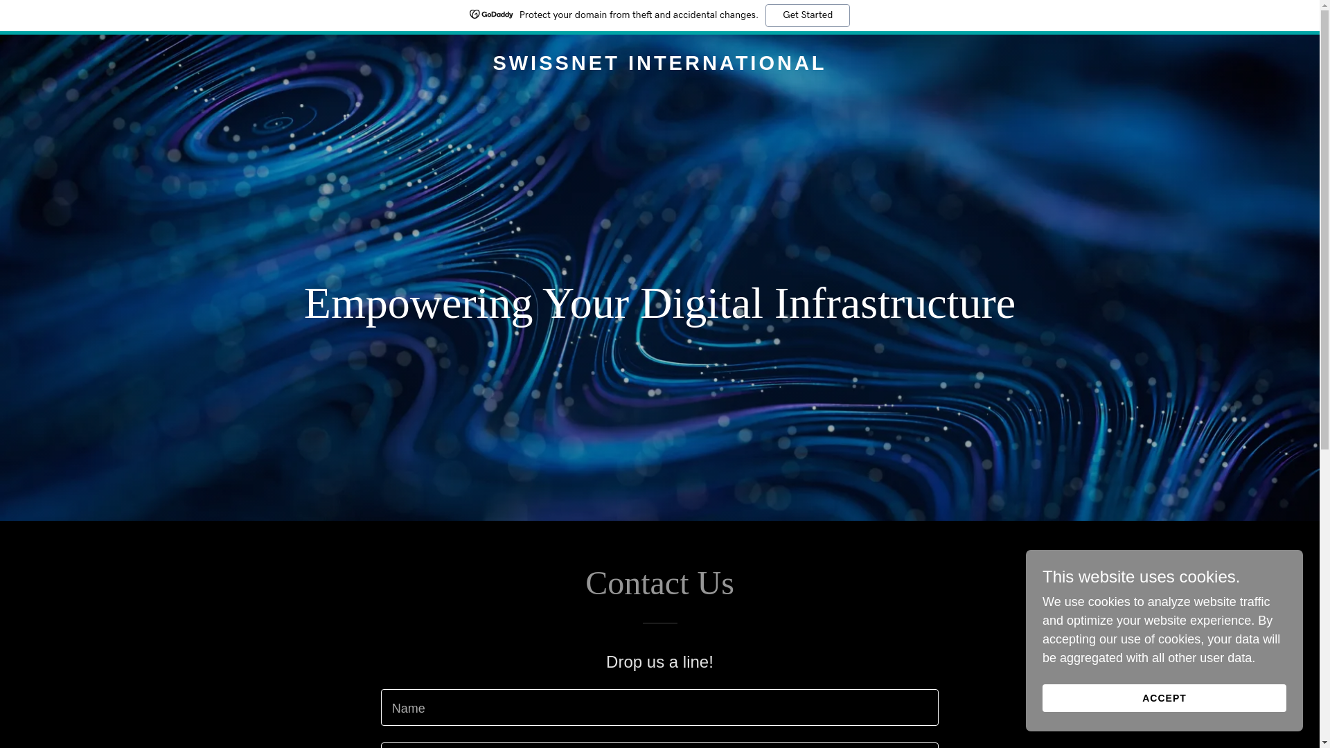 website screenshot of https://swissnetinternational.com/