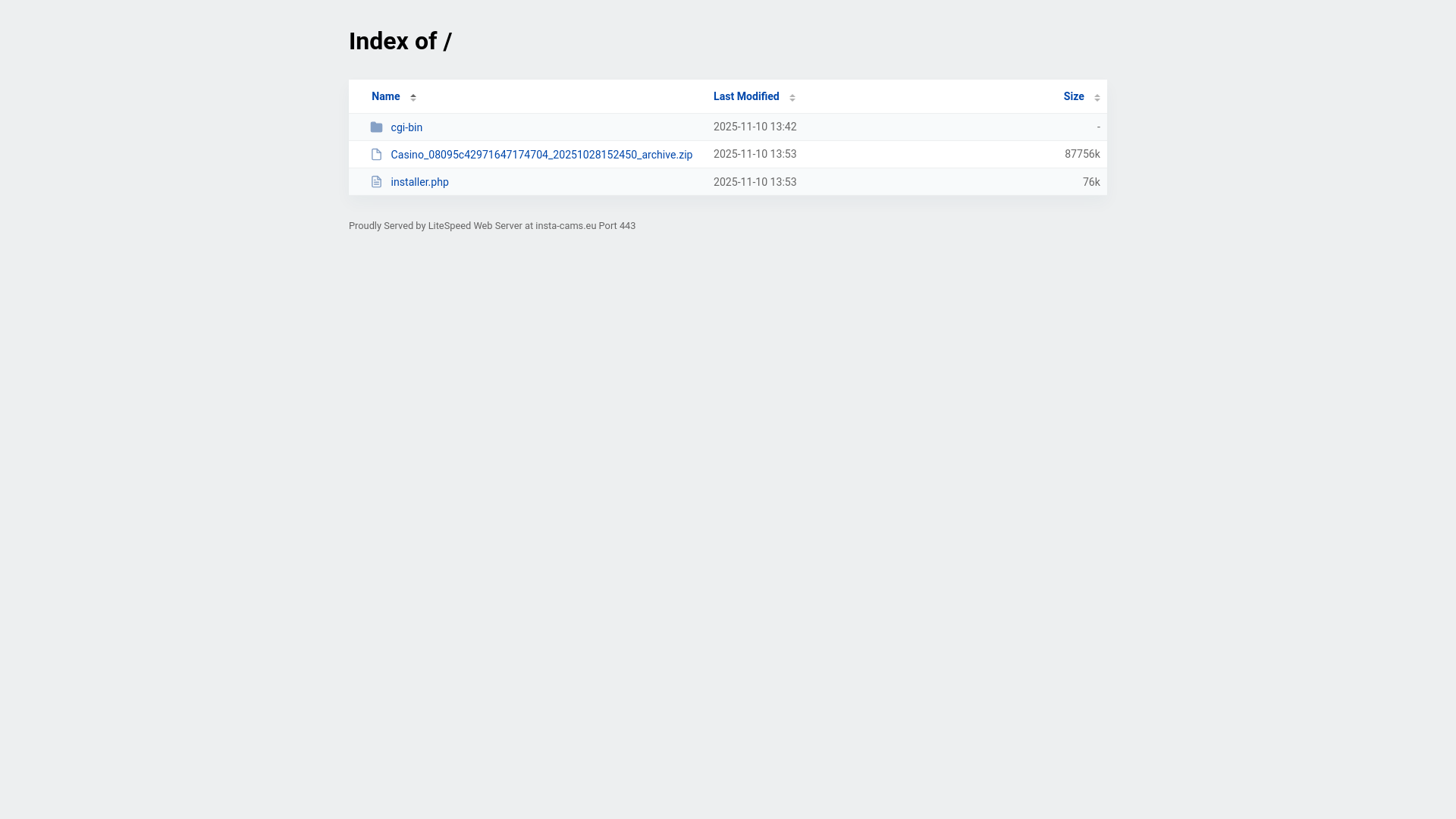 website screenshot of https://insta-cams.eu/