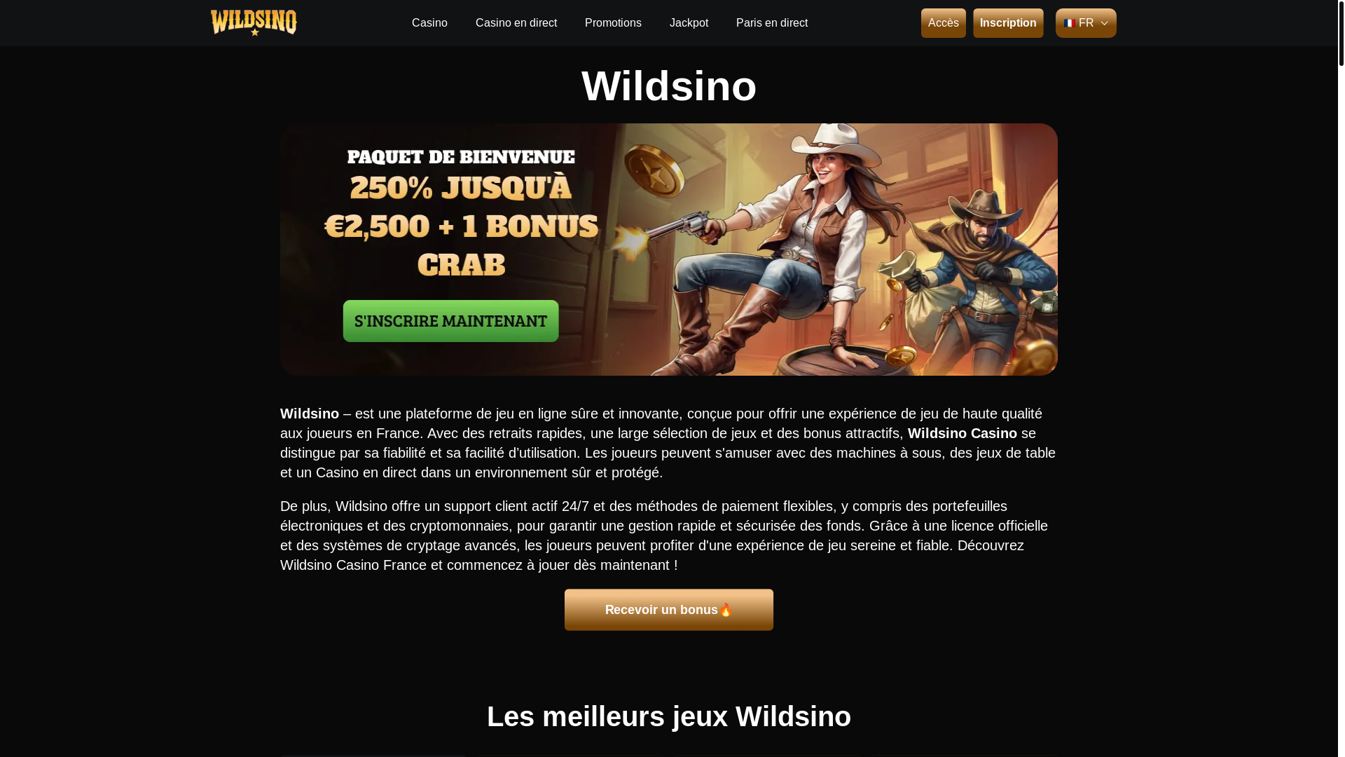 website screenshot of https://wildsinocasino-fr-6331.pages.dev/
