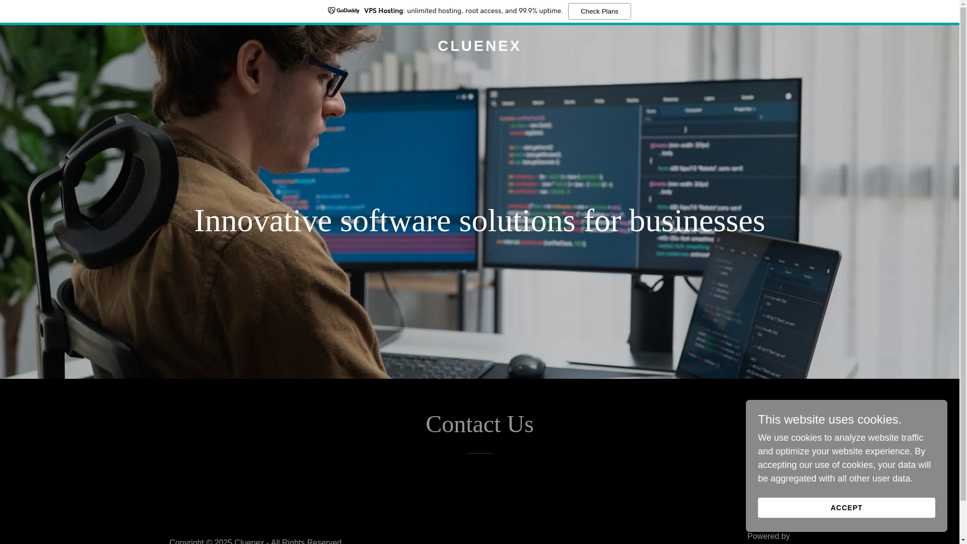 website screenshot of https://cluenex.in/