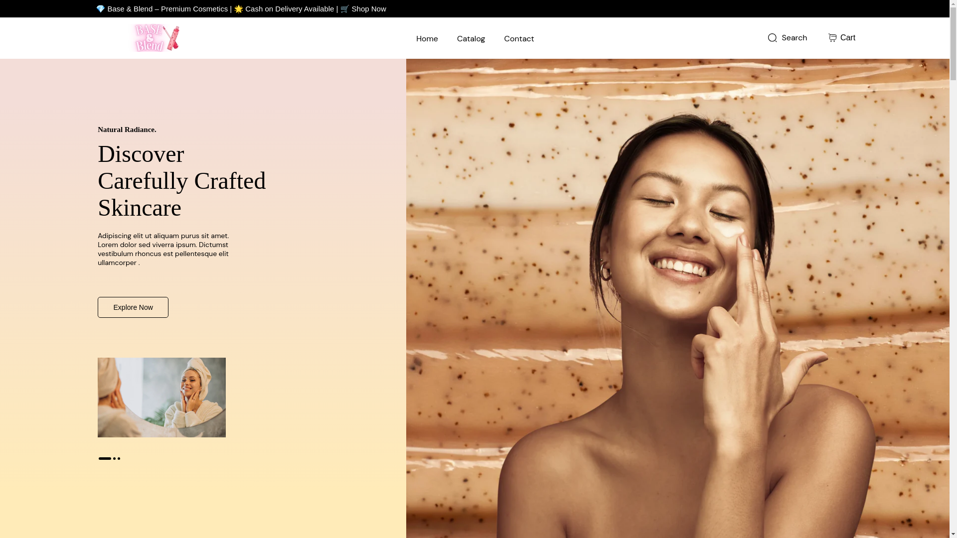 website screenshot of https://basenblend.store/