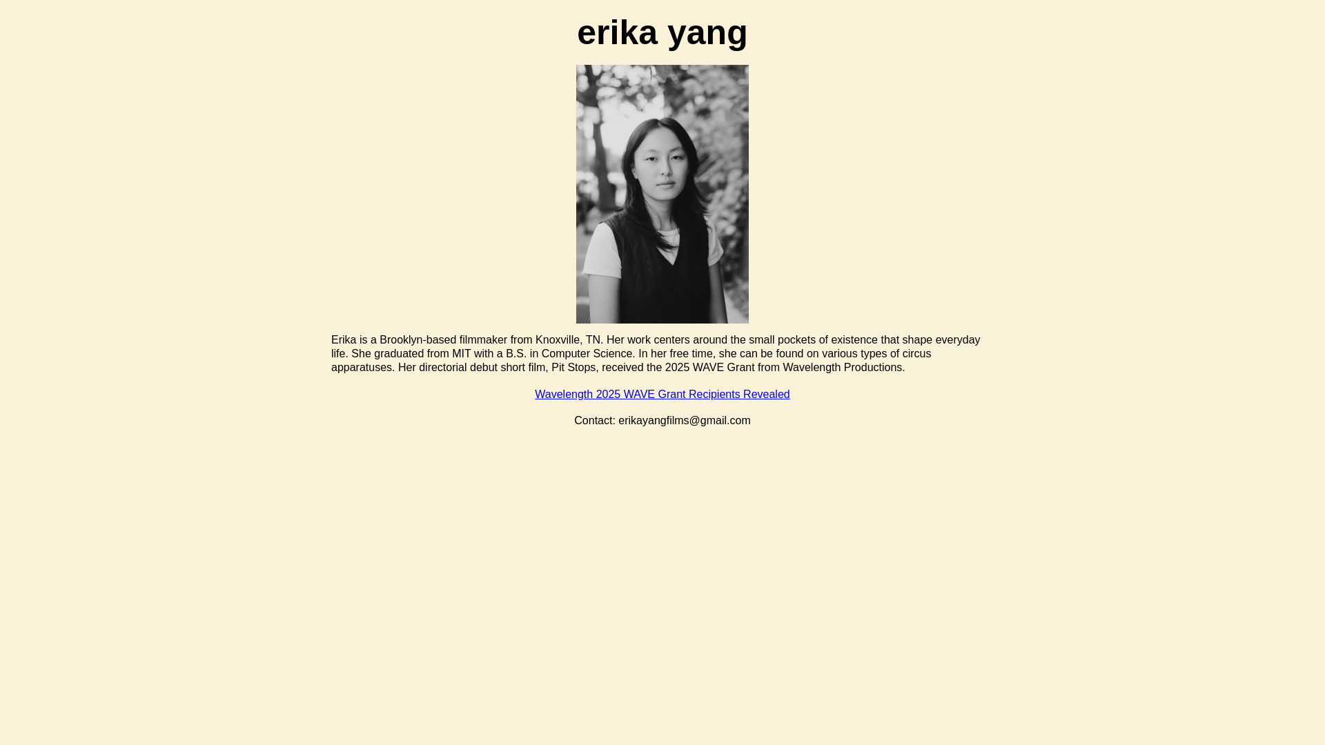 website screenshot of https://website-3t3.pages.dev/