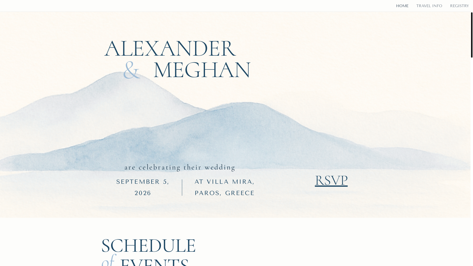 website screenshot of https://alexandmegwedding.com/
