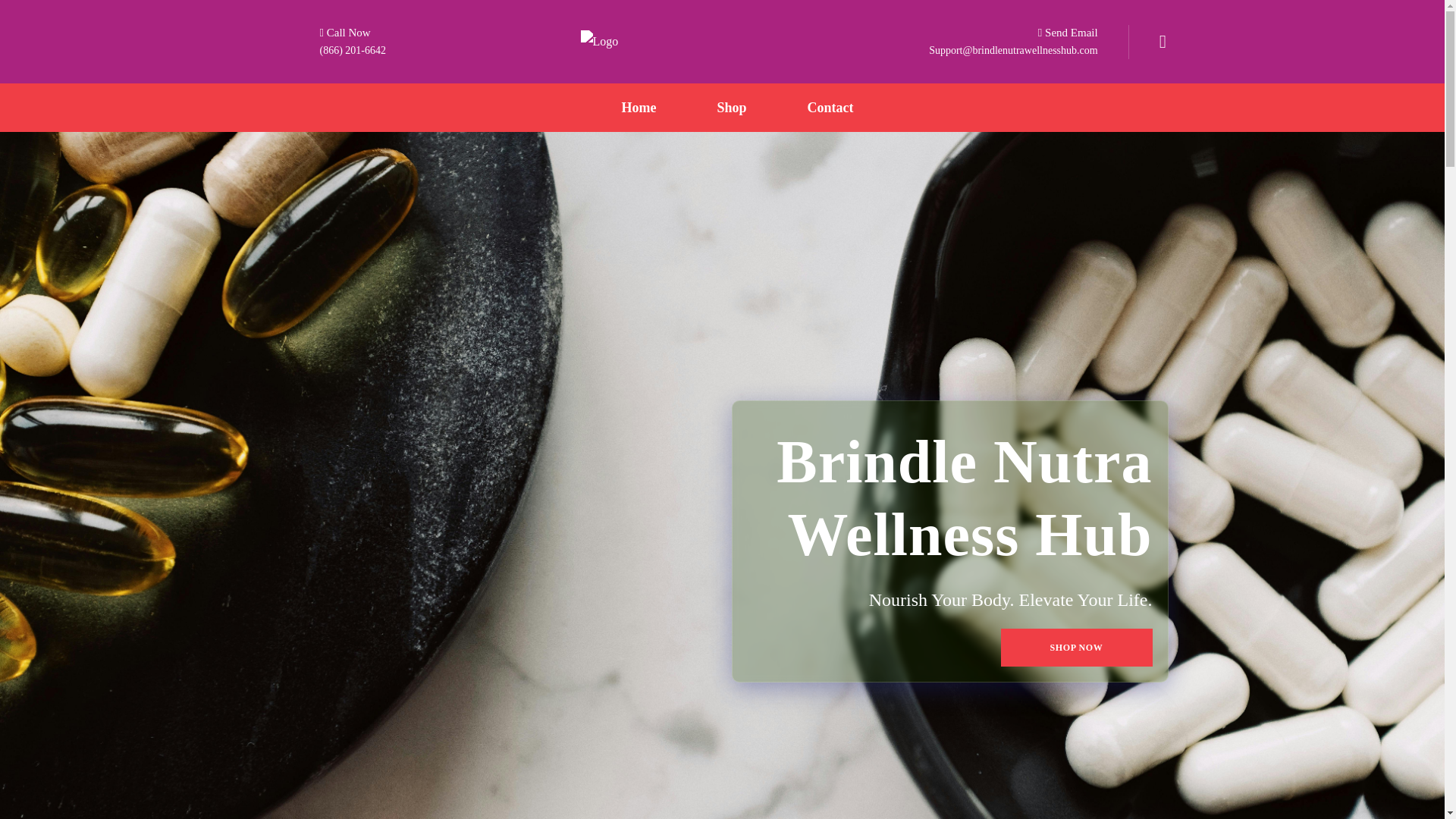 website screenshot of https://brindlenutrawellnesshub.com/