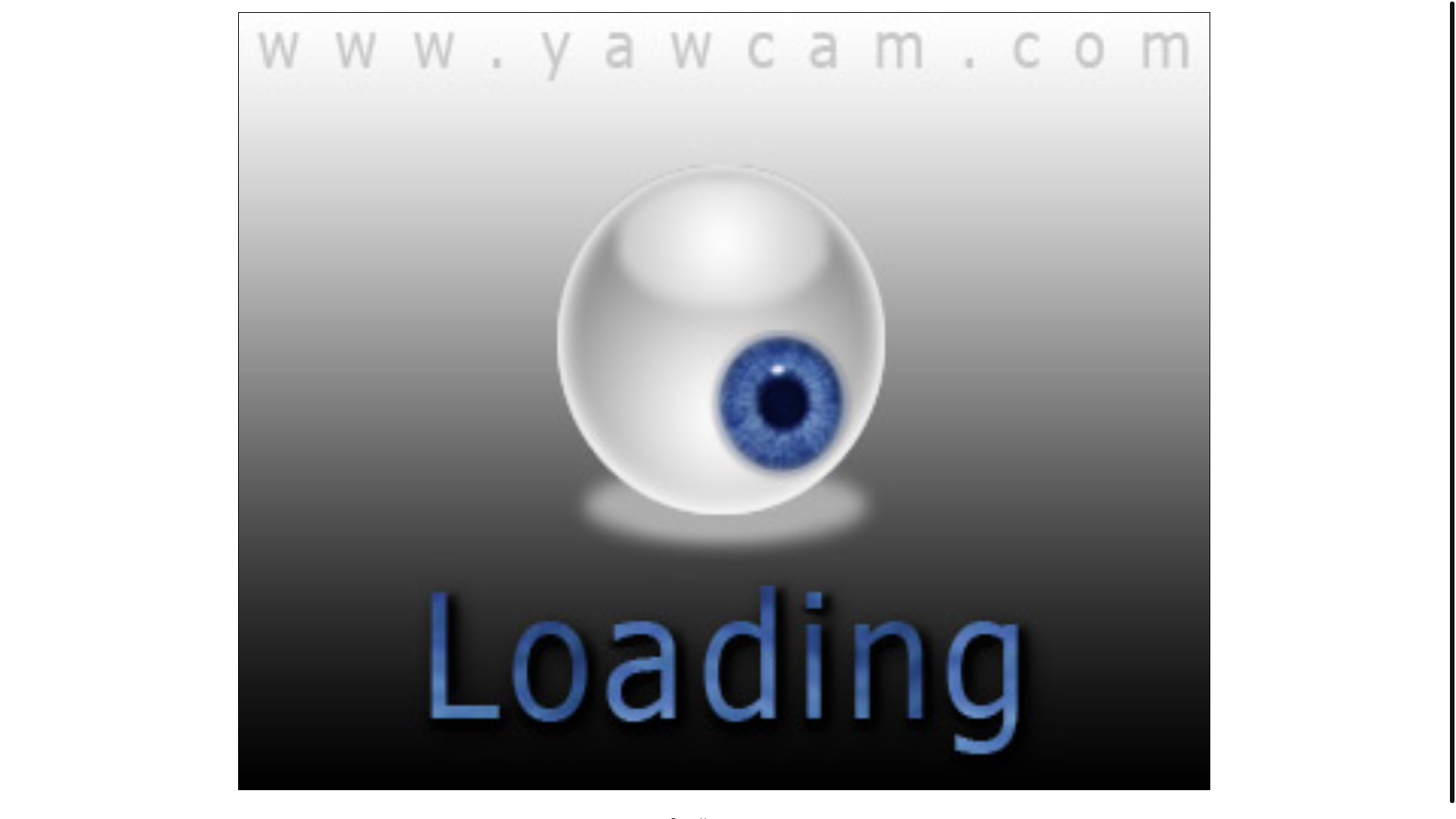 website screenshot of http://107.190.65.7:8081/