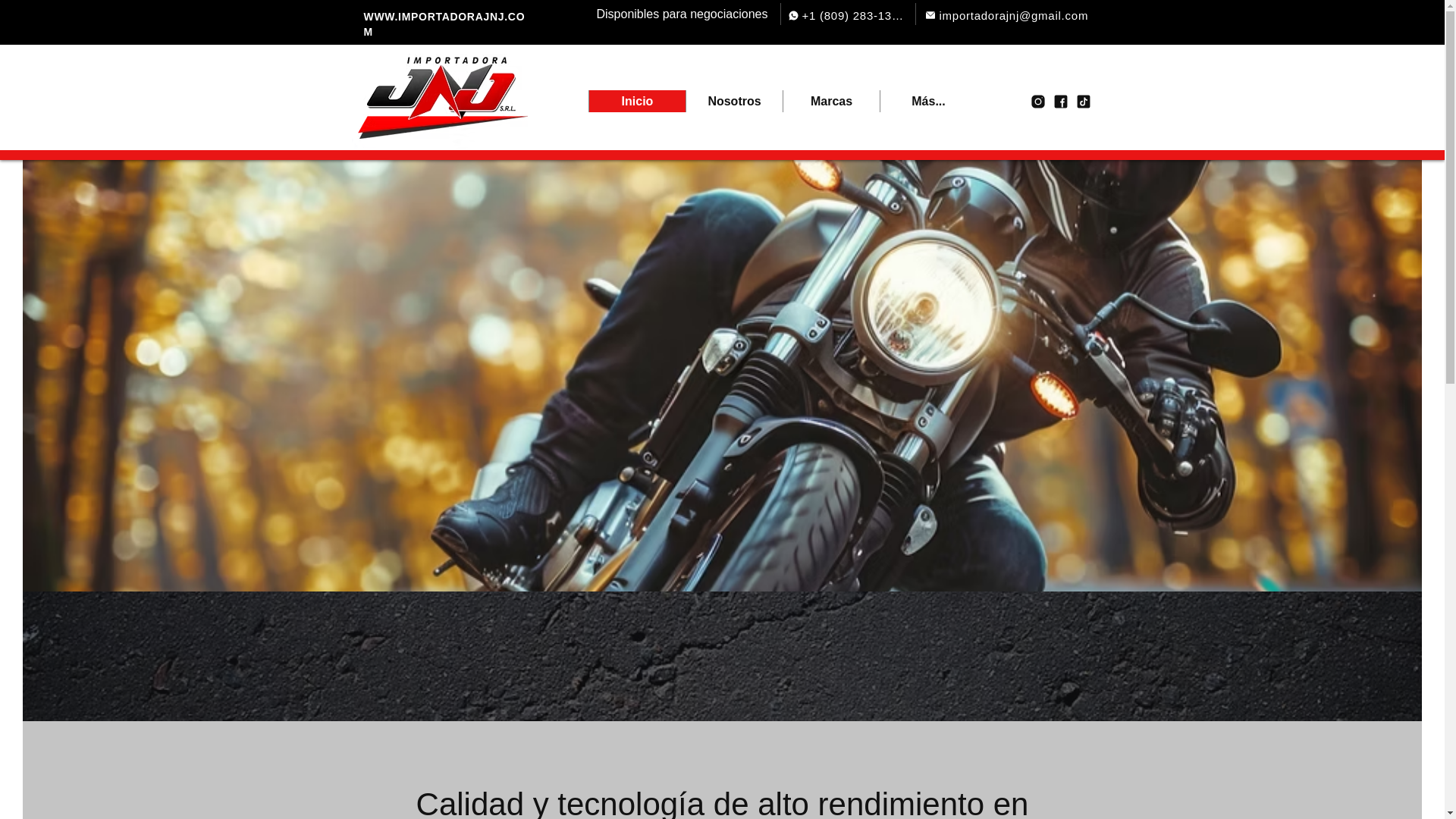 website screenshot of https://importadorajnj.com/