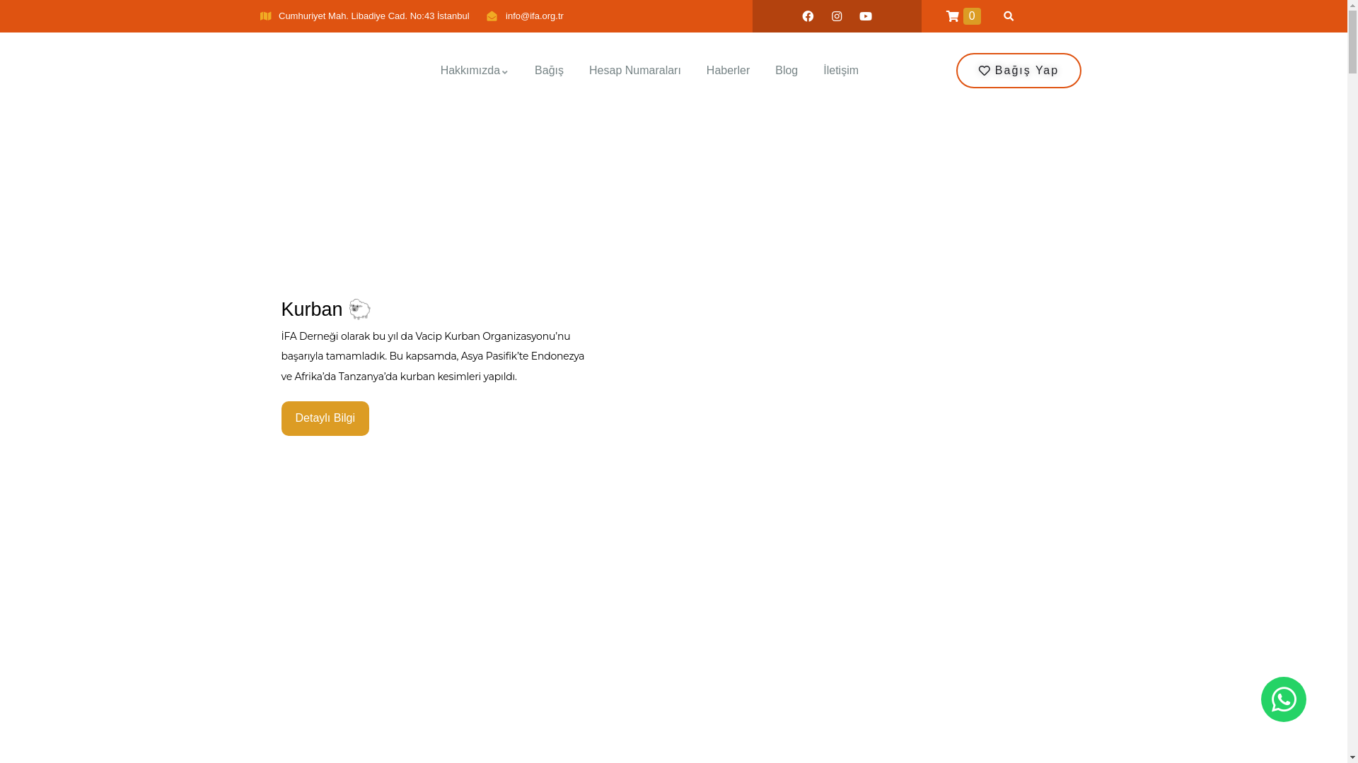 website screenshot of https://ifa.org.tr/