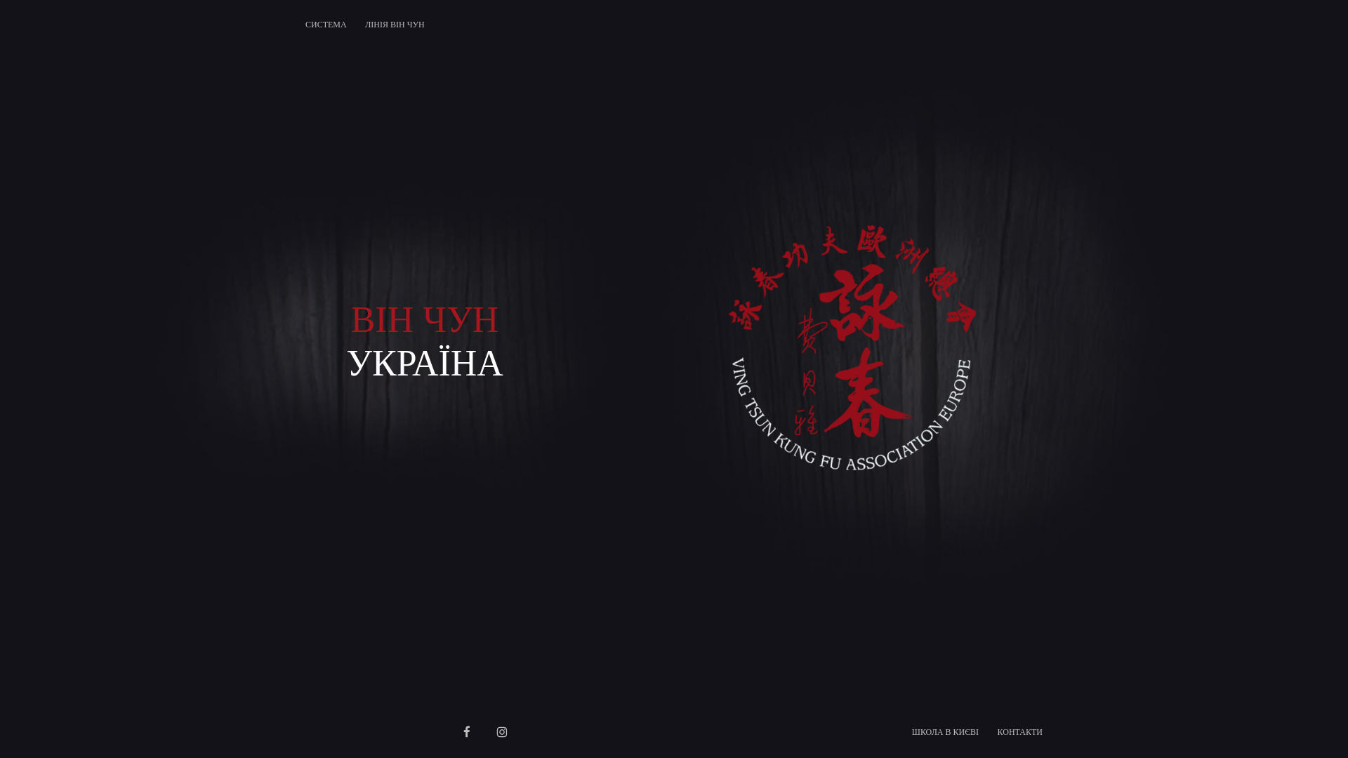 website screenshot of https://vingtsun.pages.dev/