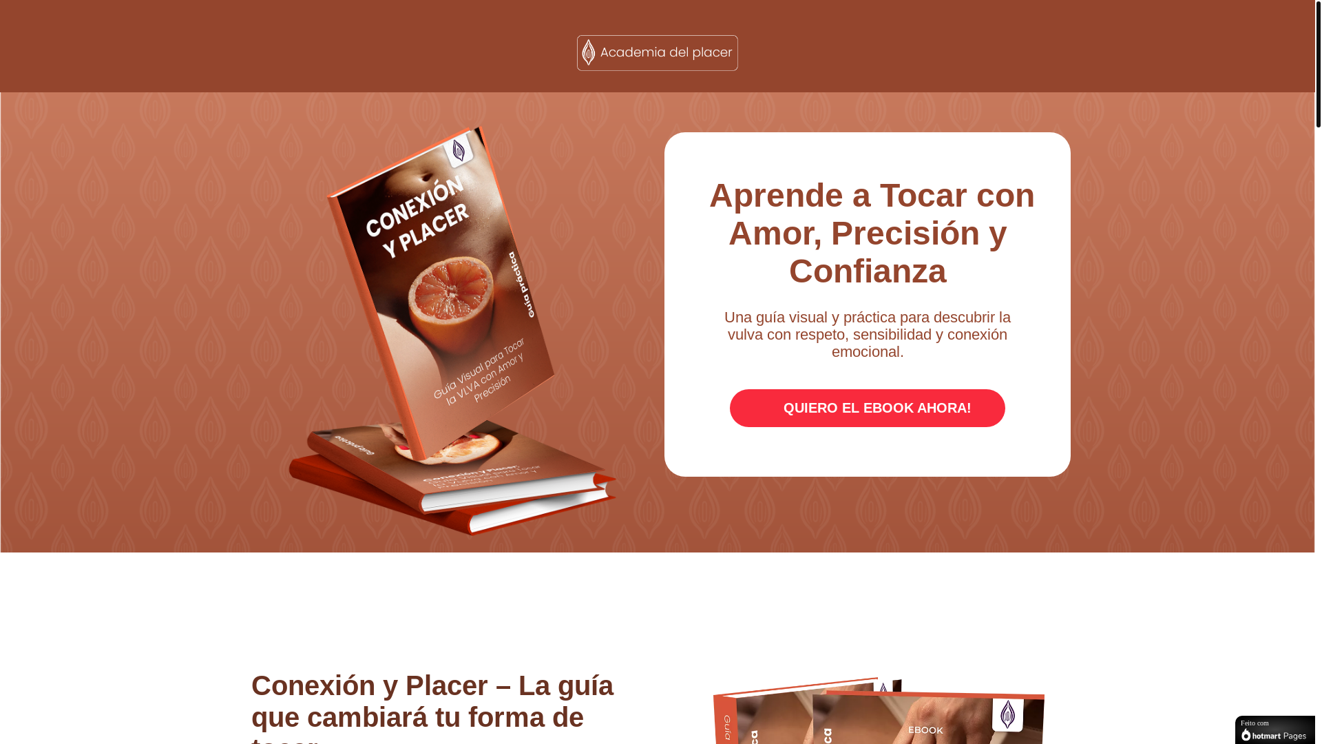 website screenshot of https://academiadelplacer.com/
