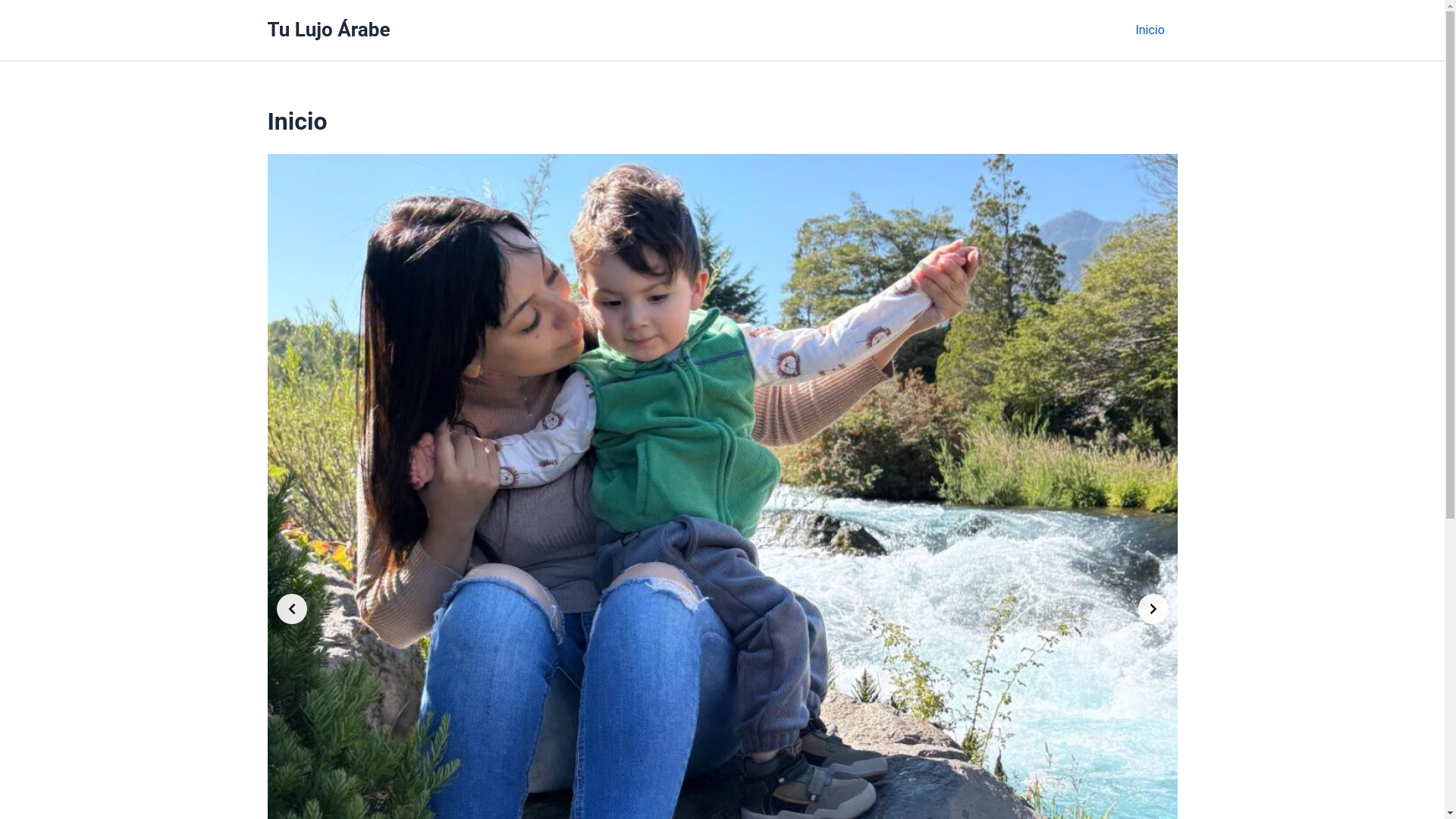 website screenshot of https://tulujoarabe.cl/