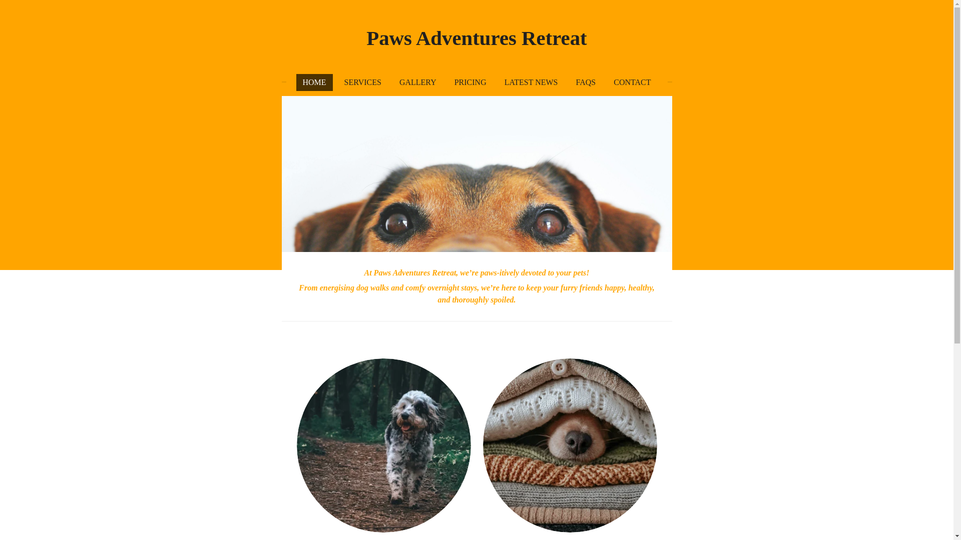 website screenshot of https://pawsadventuresretreat.co.nz/