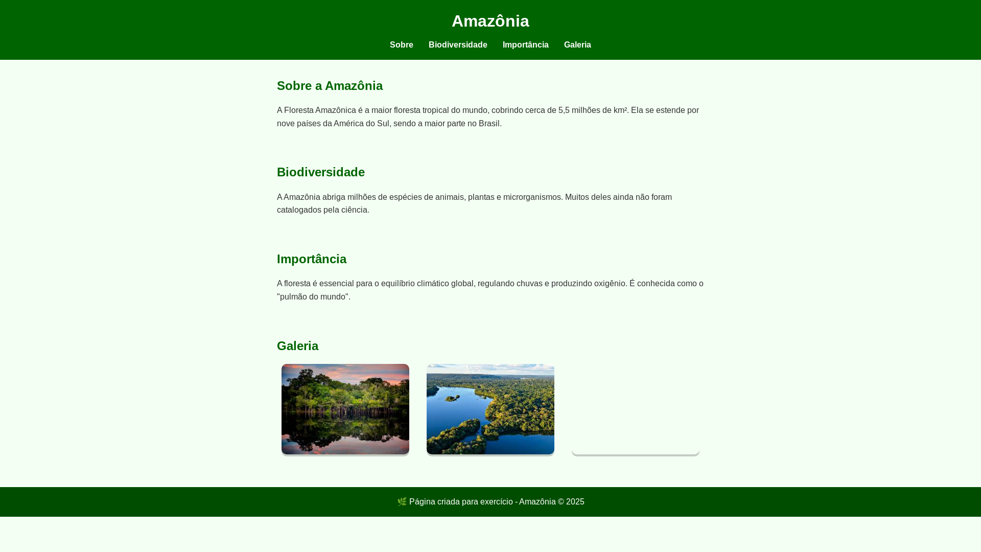 website screenshot of https://exerc-cio-criando-uma-p-gina-sobre-a-amaz-nia.pages.dev/
