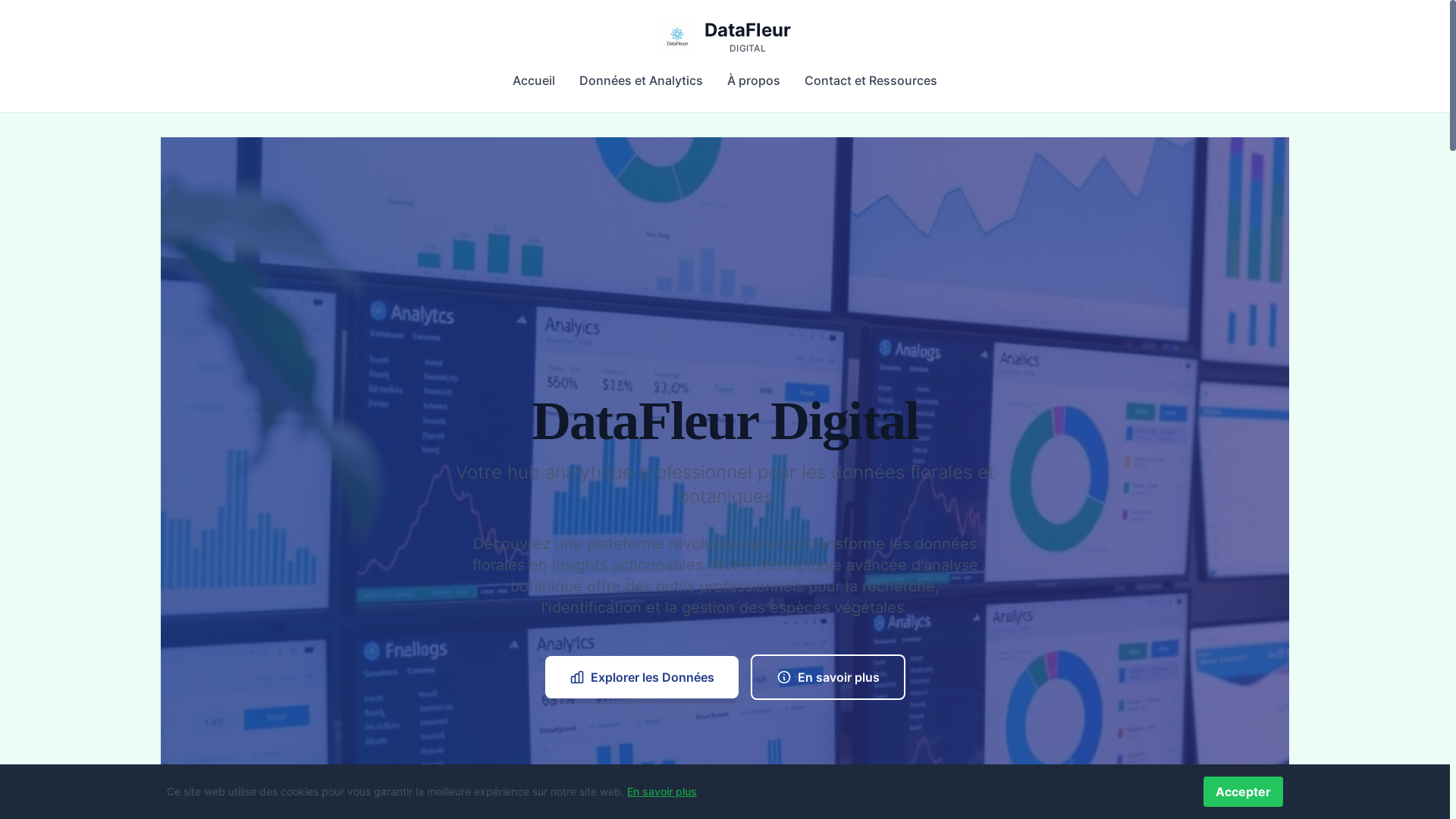 website screenshot of https://datafleur.digital/