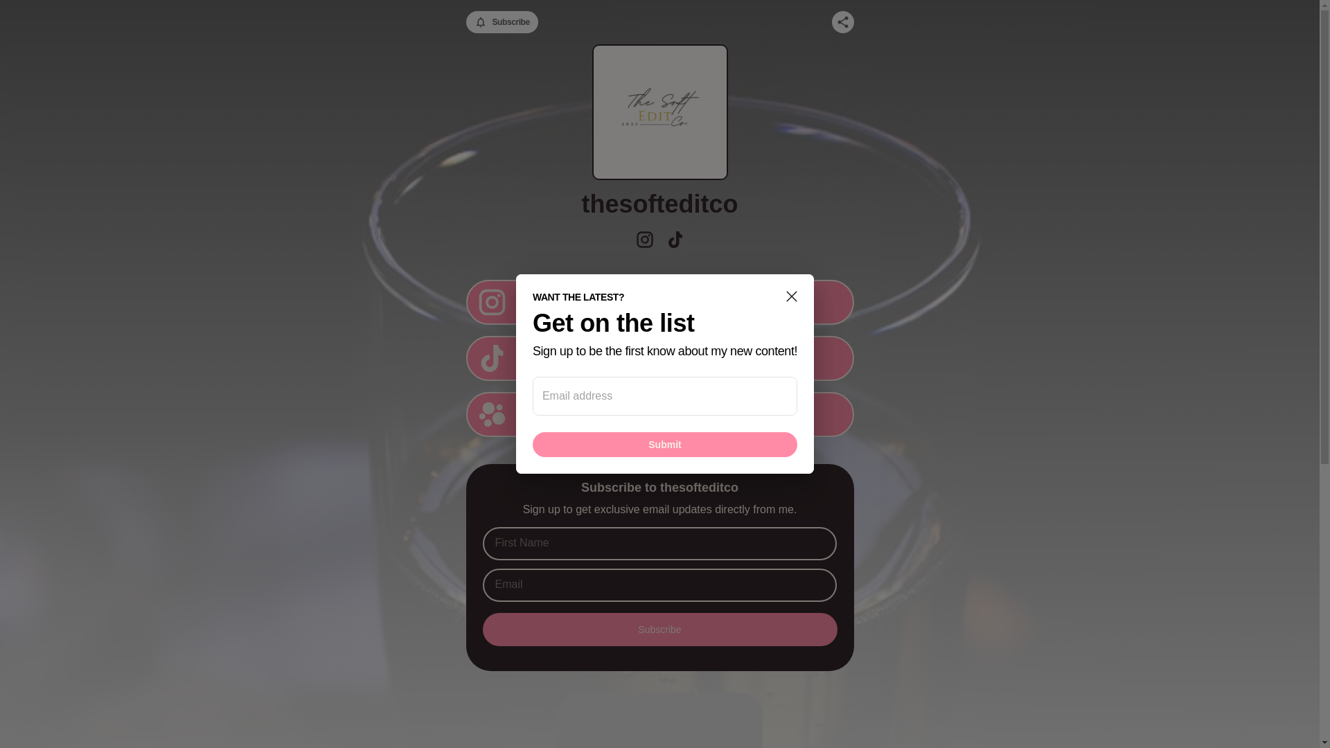 website screenshot of https://thesofteditco.store/
