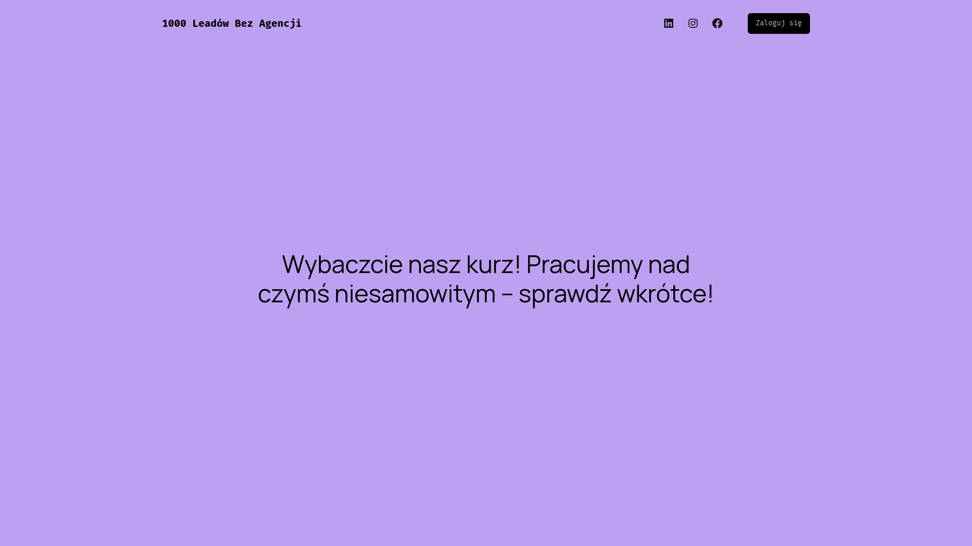 website screenshot of https://1000leadow.pl/