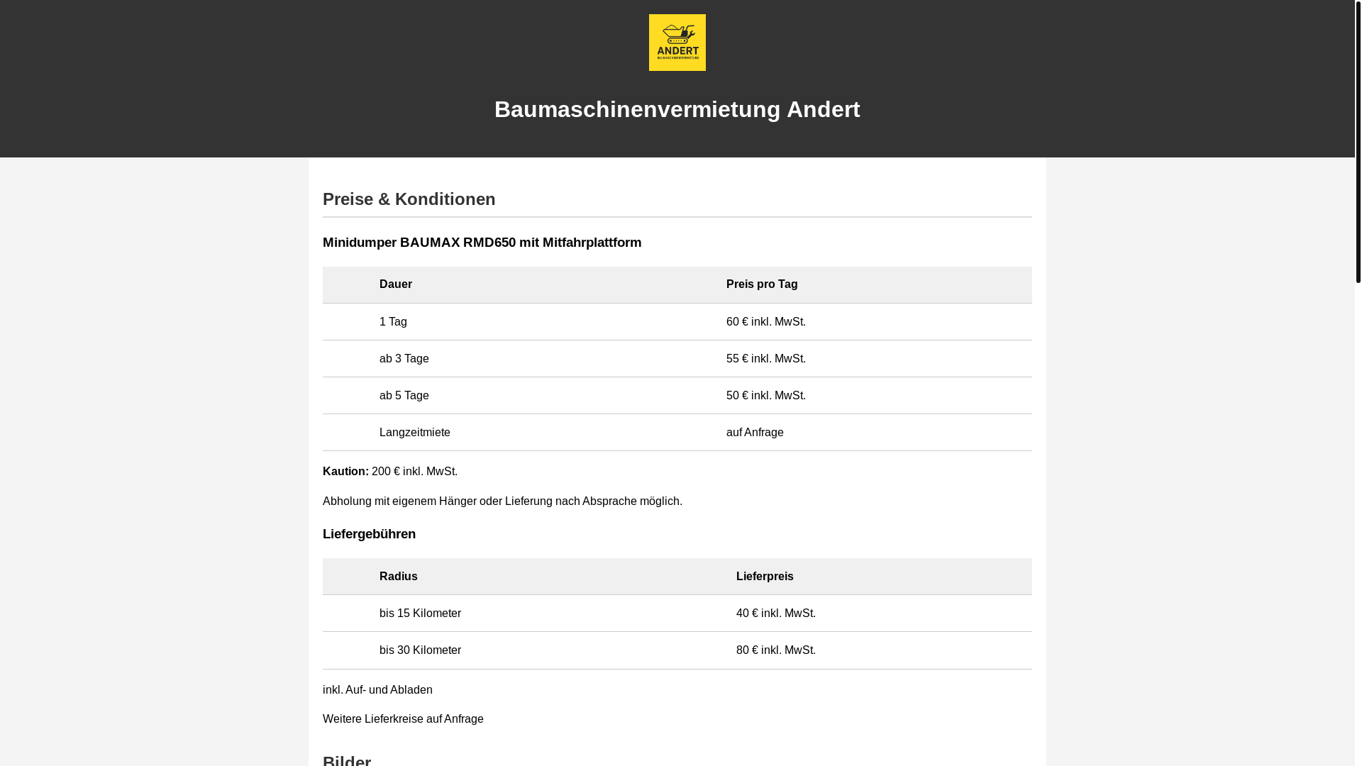 website screenshot of https://baumaschinenvermietung-andert.de/