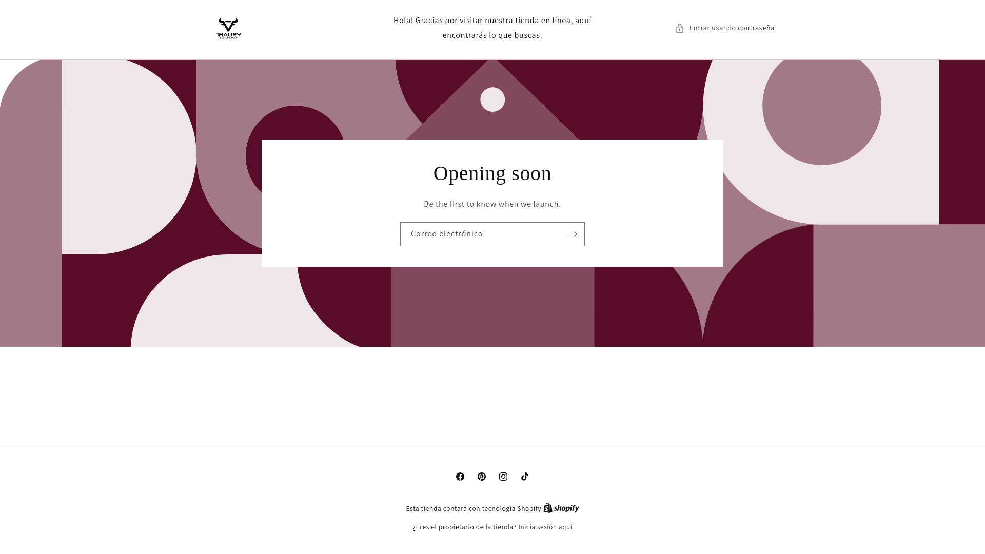 website screenshot of https://thaurywesternwear.com/