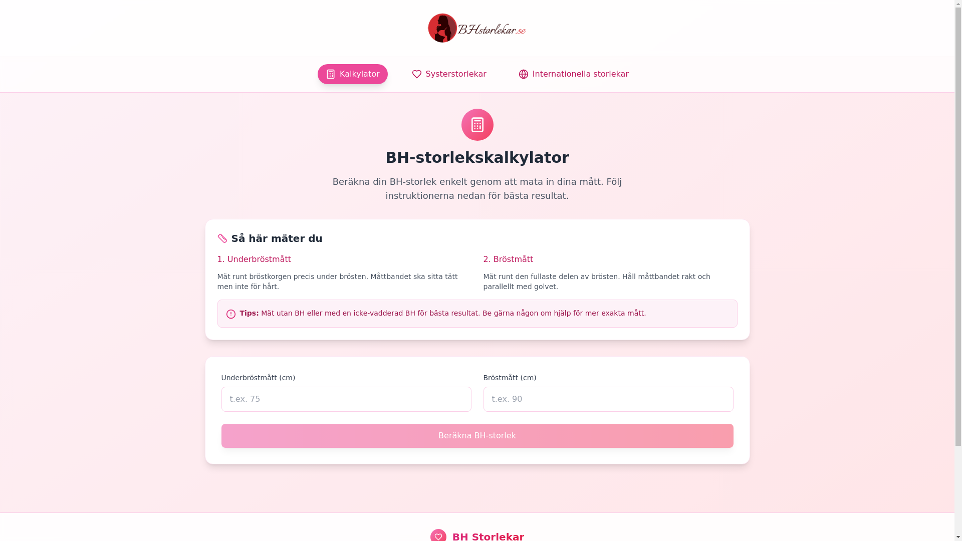 website screenshot of https://bhstorlekar--bolt.pages.dev/