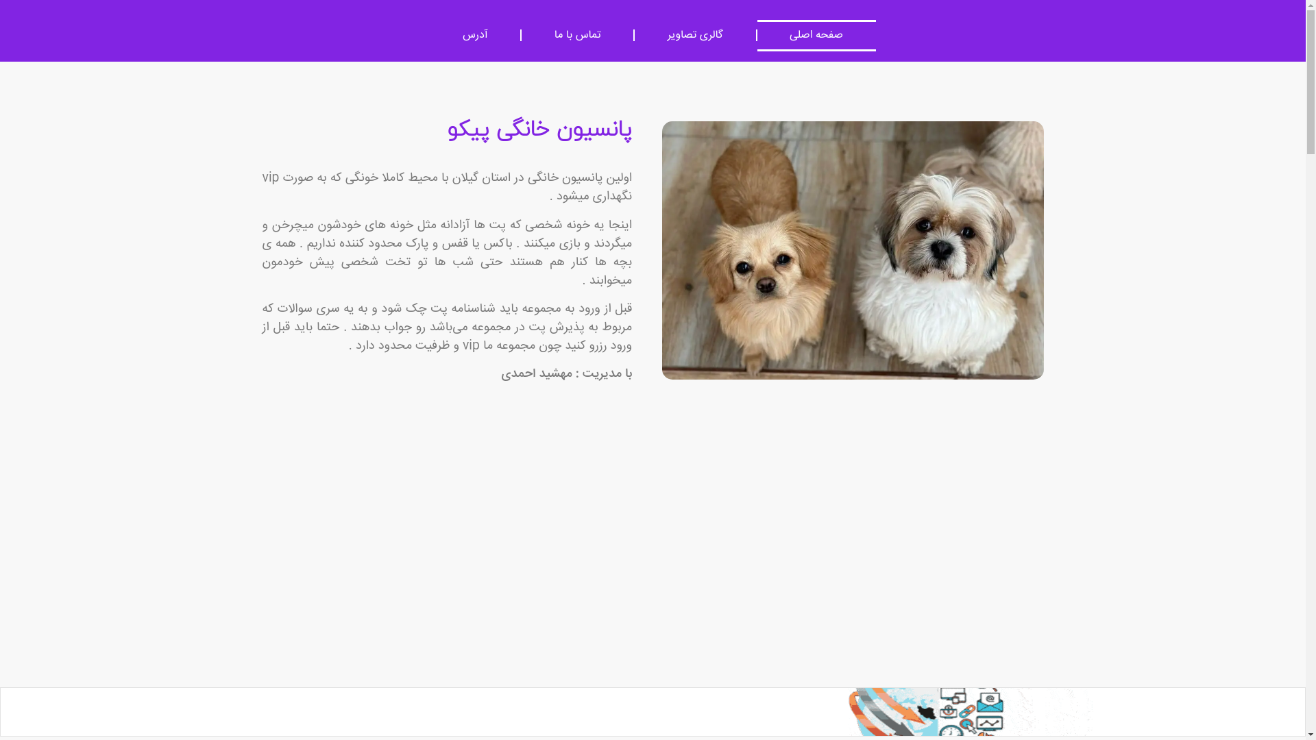 website screenshot of https://pansion-pikoo.ir/