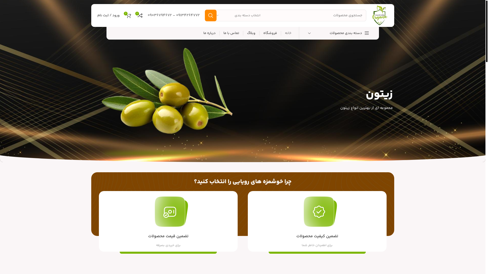 website screenshot of https://khoshmazeroyaei.ir/