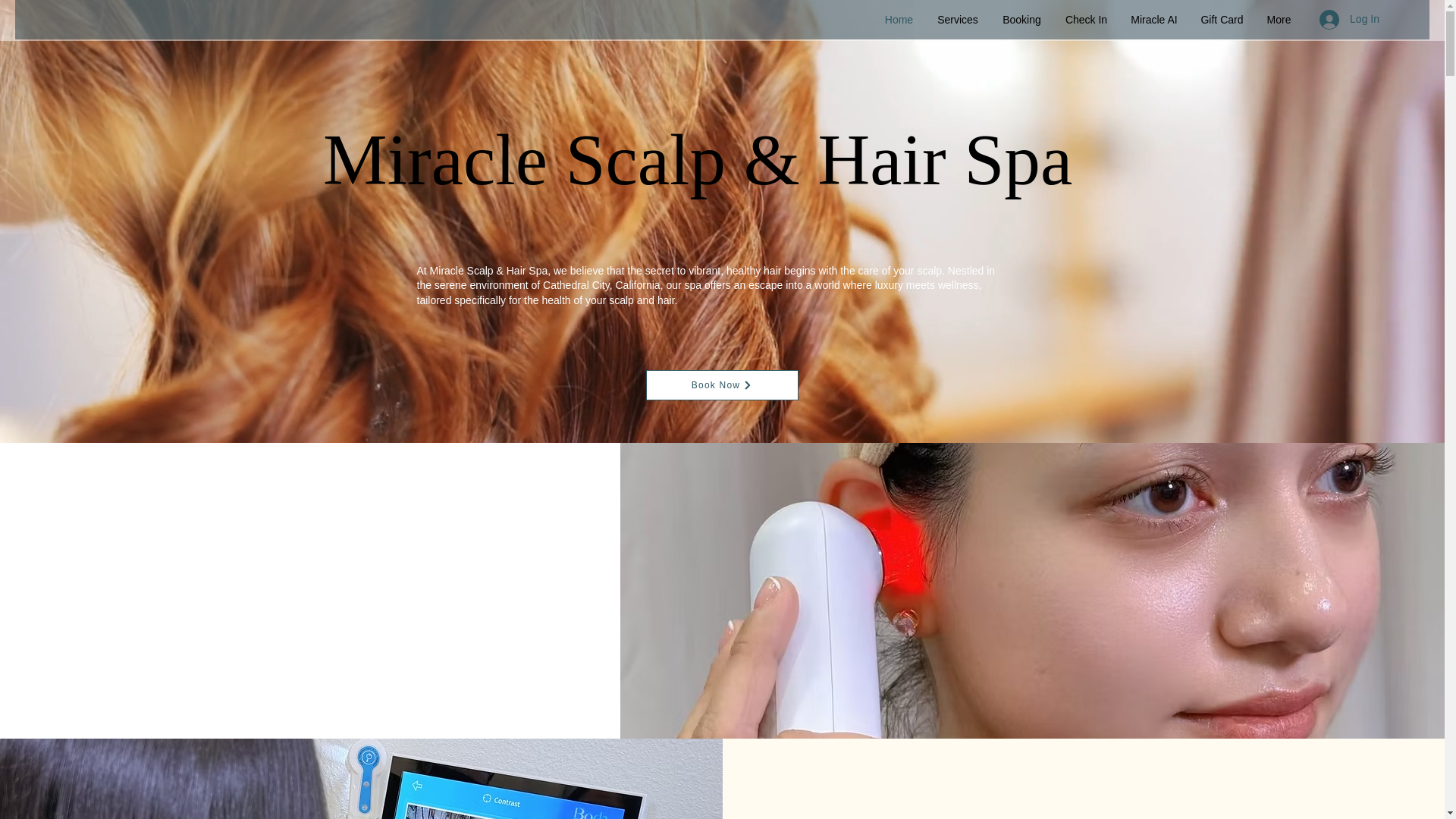 website screenshot of https://spamiraclehair.com/