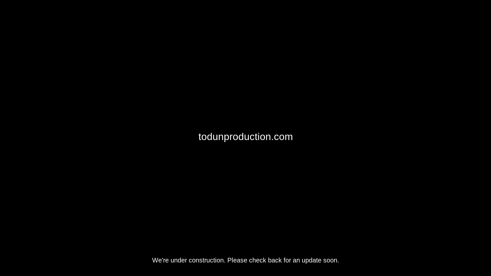 website screenshot of https://todunproduction.com/