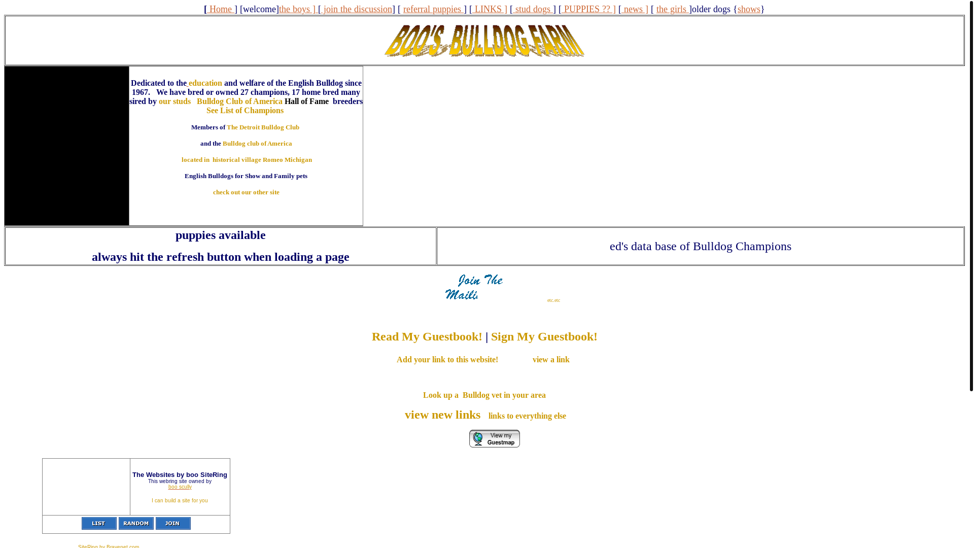 website screenshot of https://boosbulldogfarm.pages.dev/