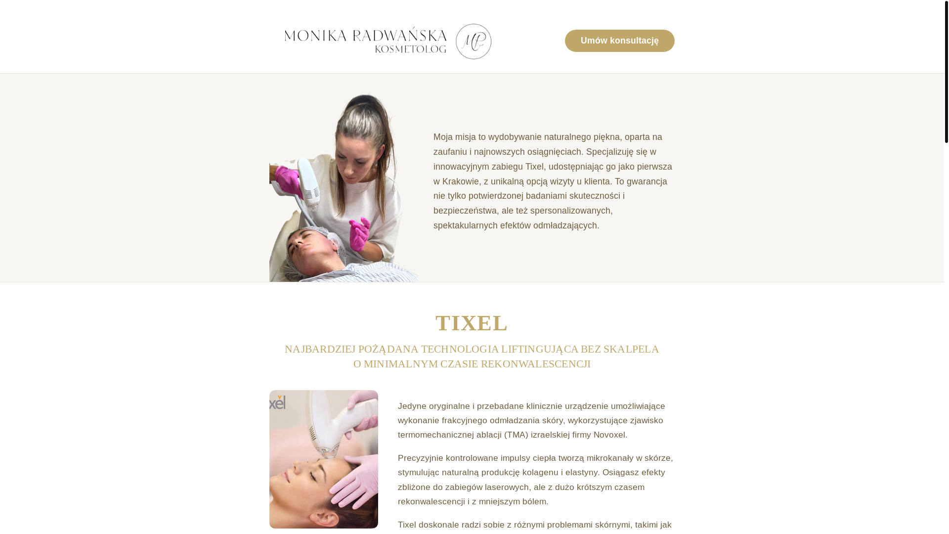 website screenshot of https://tixelkrakow.pages.dev/