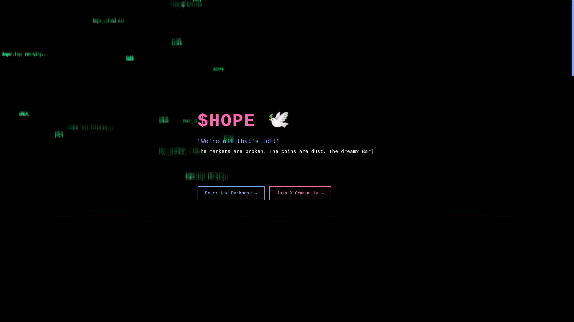 website screenshot of https://hopeonbonk.lol/