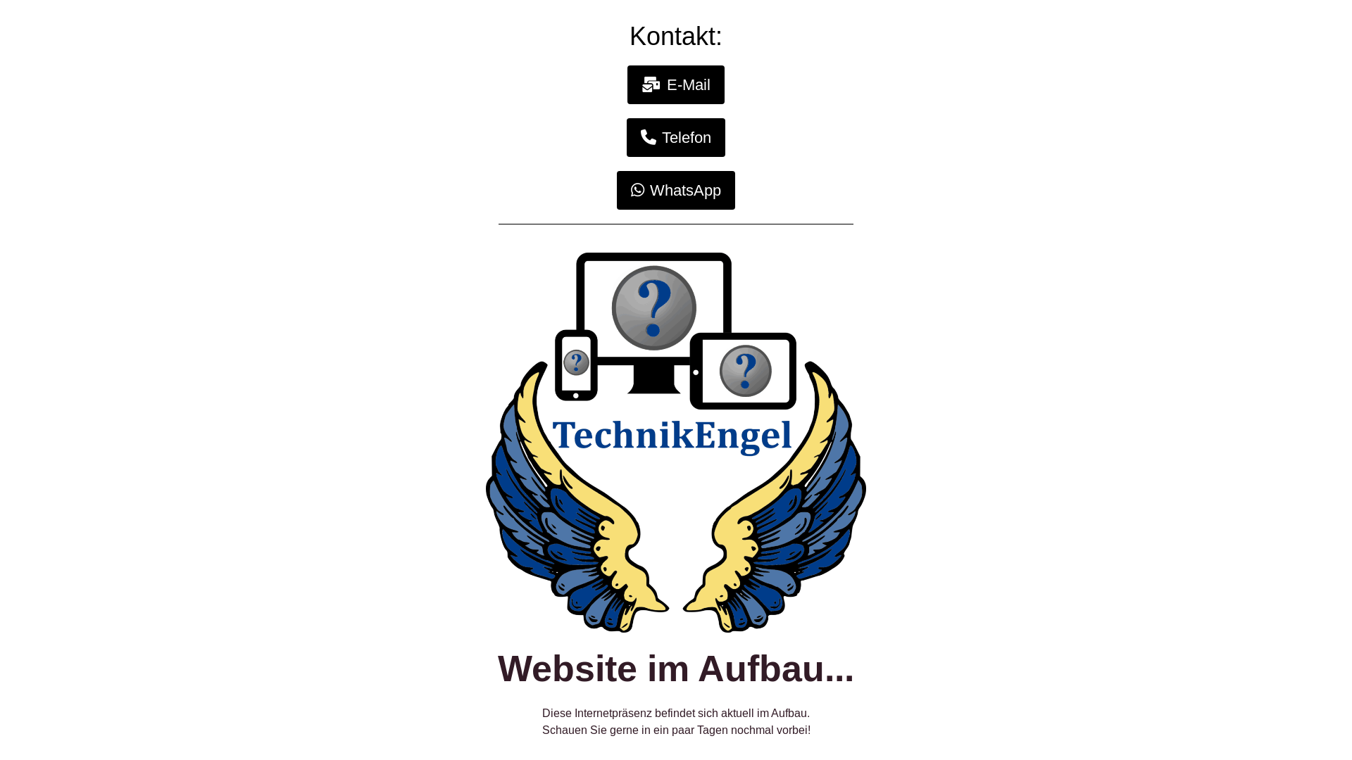 website screenshot of https://technikengel.ch/