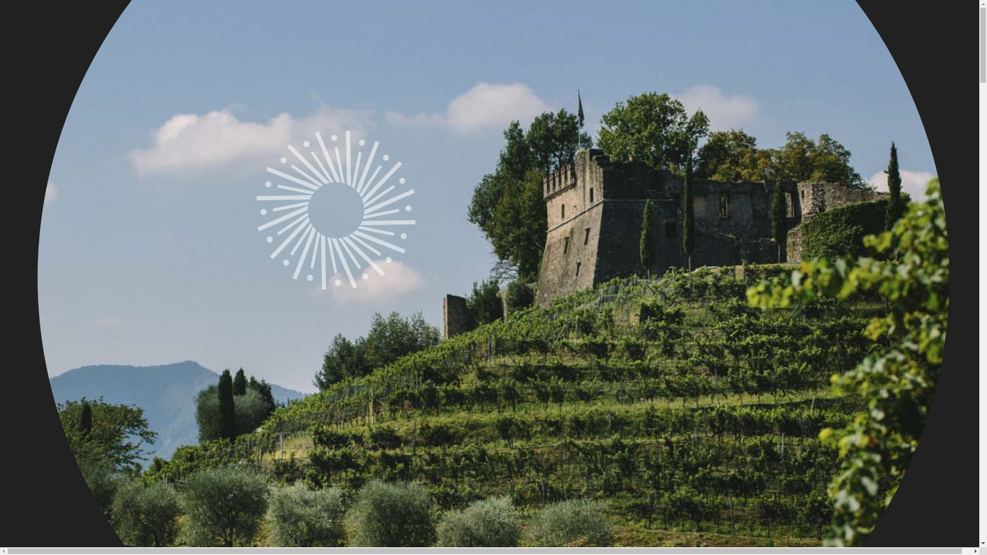 website screenshot of https://morcotewine.ch/