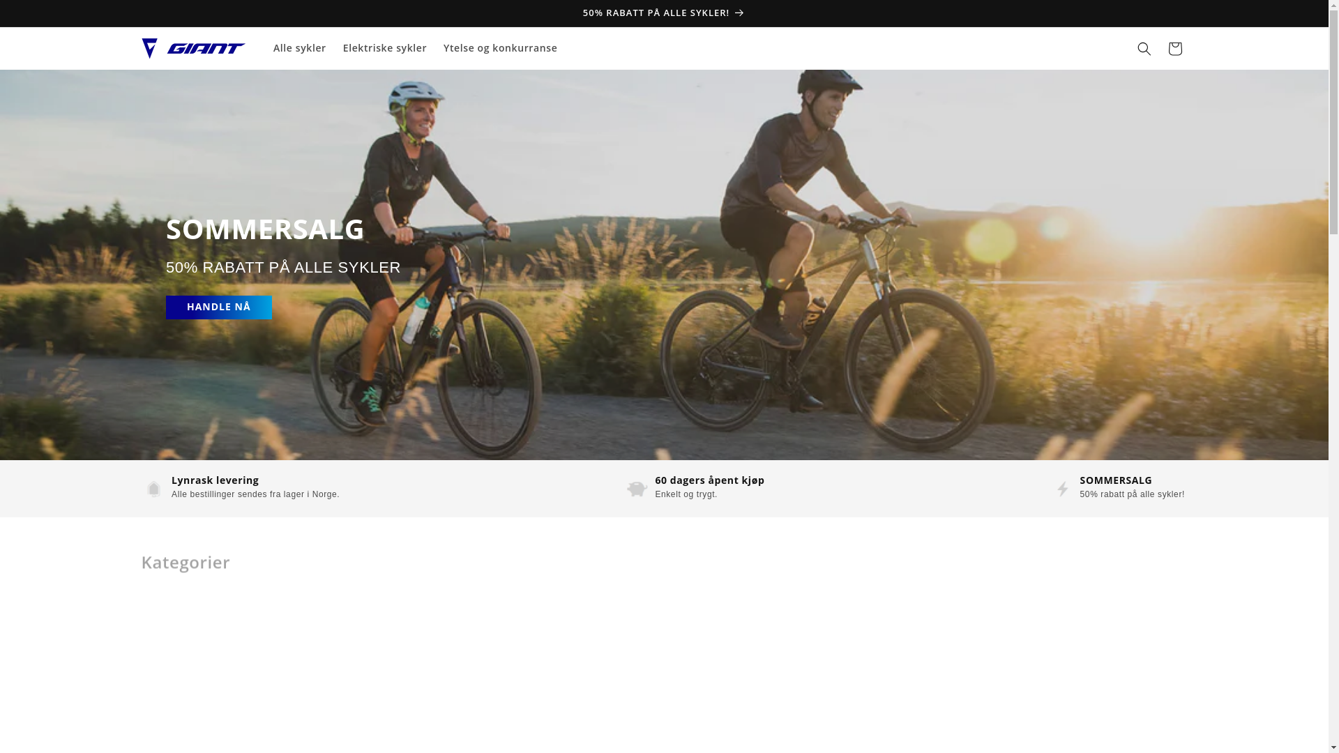 website screenshot of https://giantnorge.no/