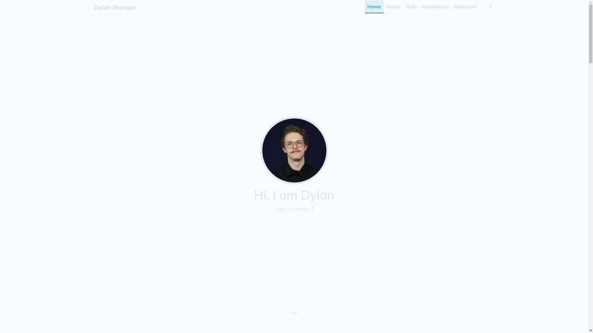 website screenshot of https://dylanbrancon.com/