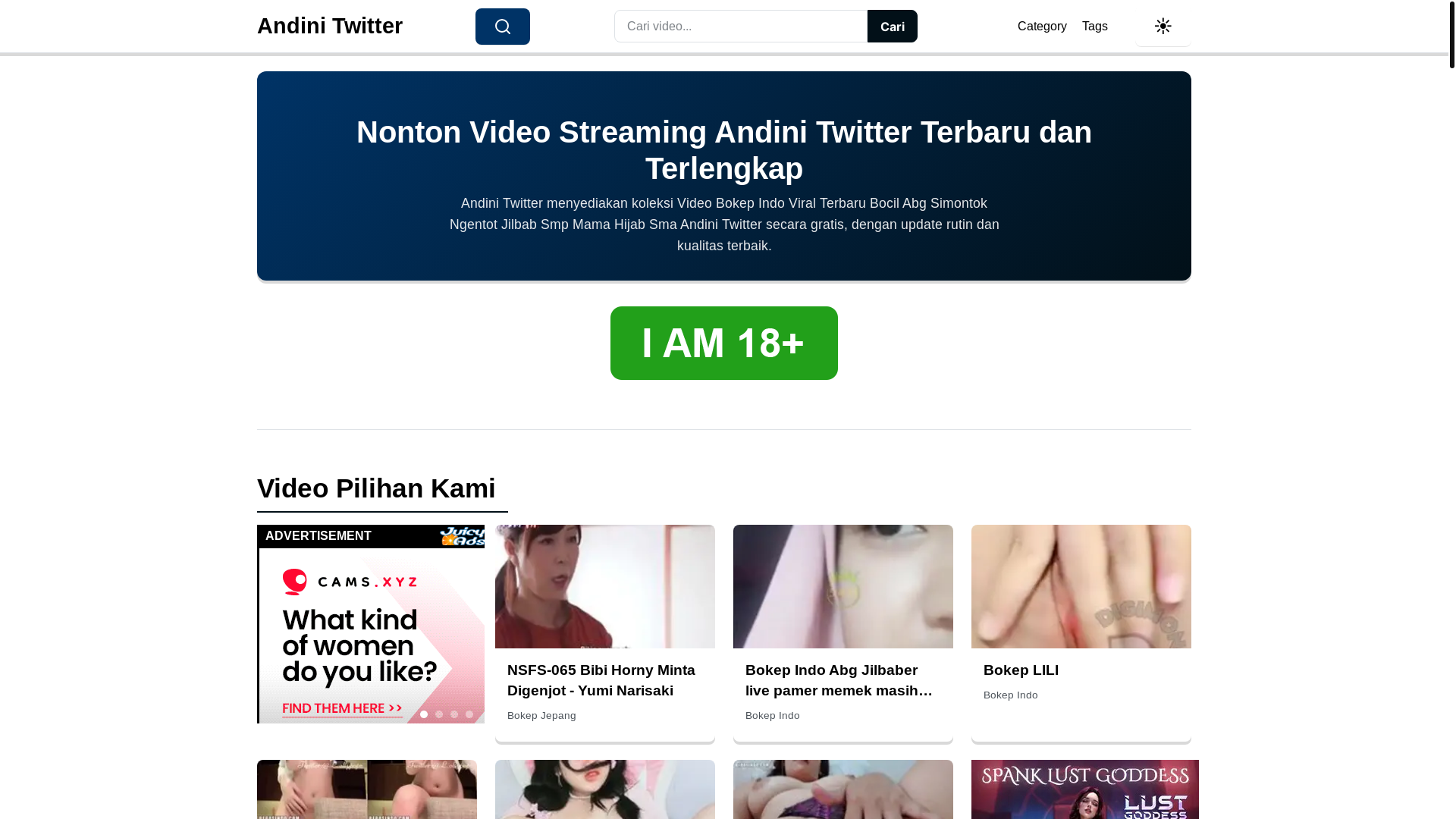 website screenshot of https://andinitwitter.pages.dev/