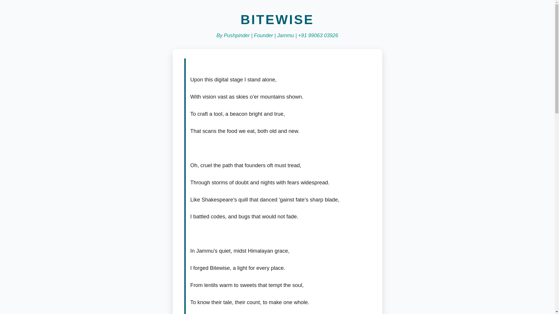 website screenshot of https://bitewise.pages.dev/