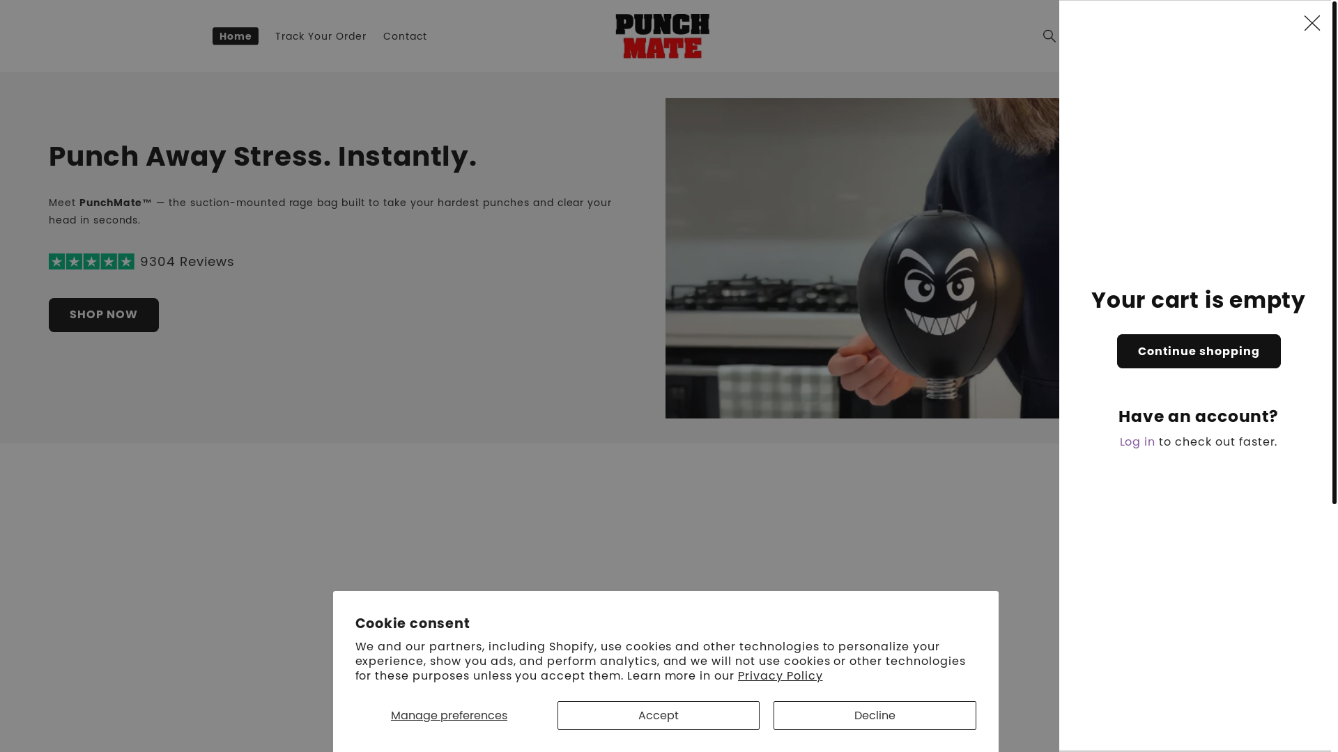 website screenshot of https://punchmate.co/